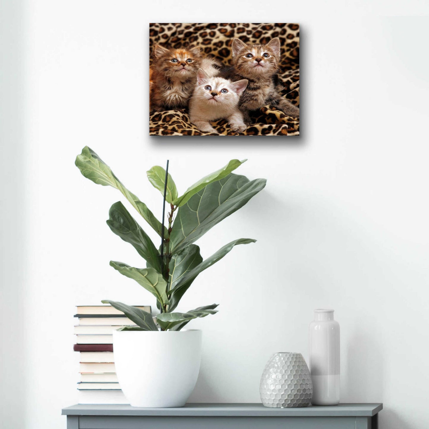 Epic Art 'Kittens' by Mike Jones, Acrylic Glass Wall Art,16x12