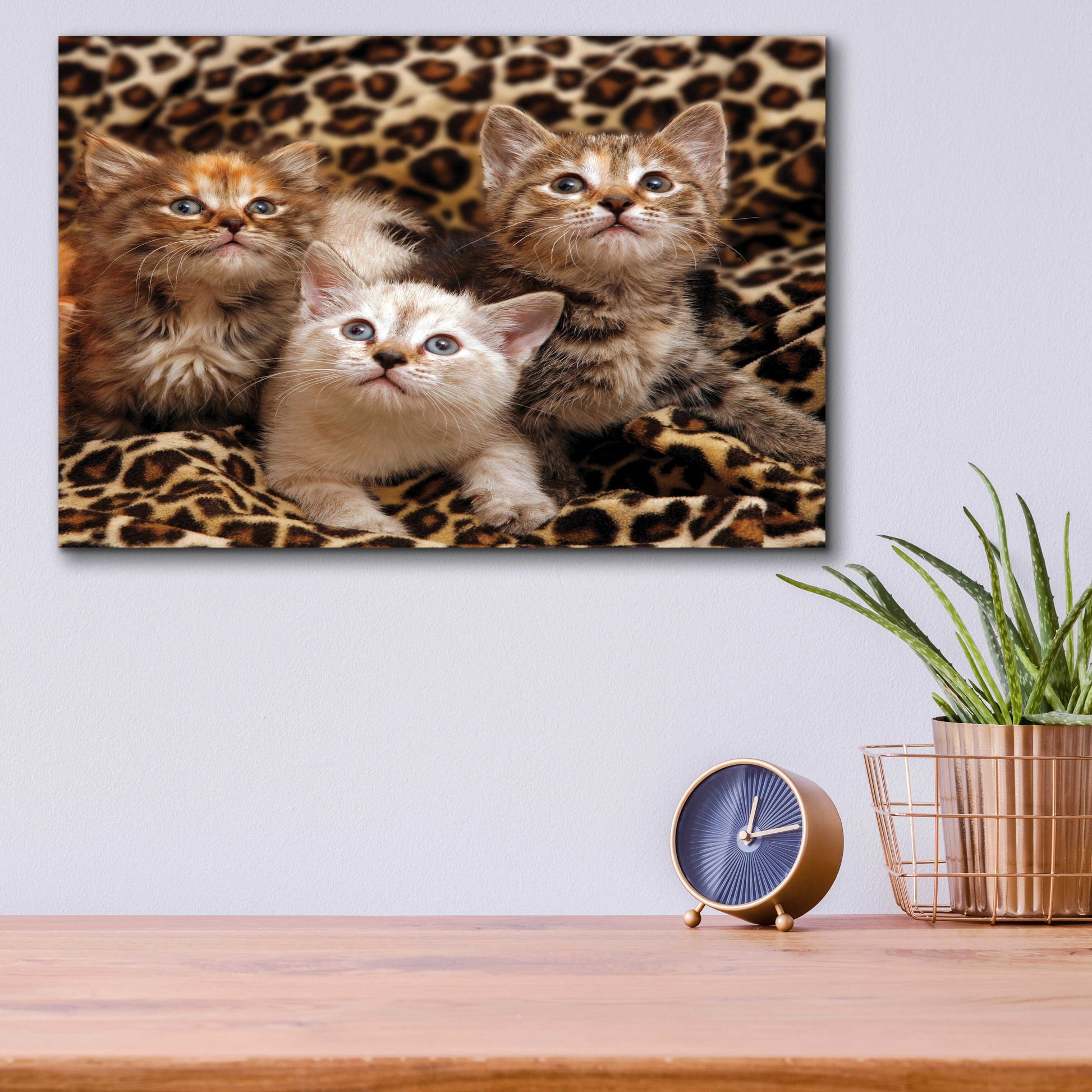 Epic Art 'Kittens' by Mike Jones, Acrylic Glass Wall Art,16x12