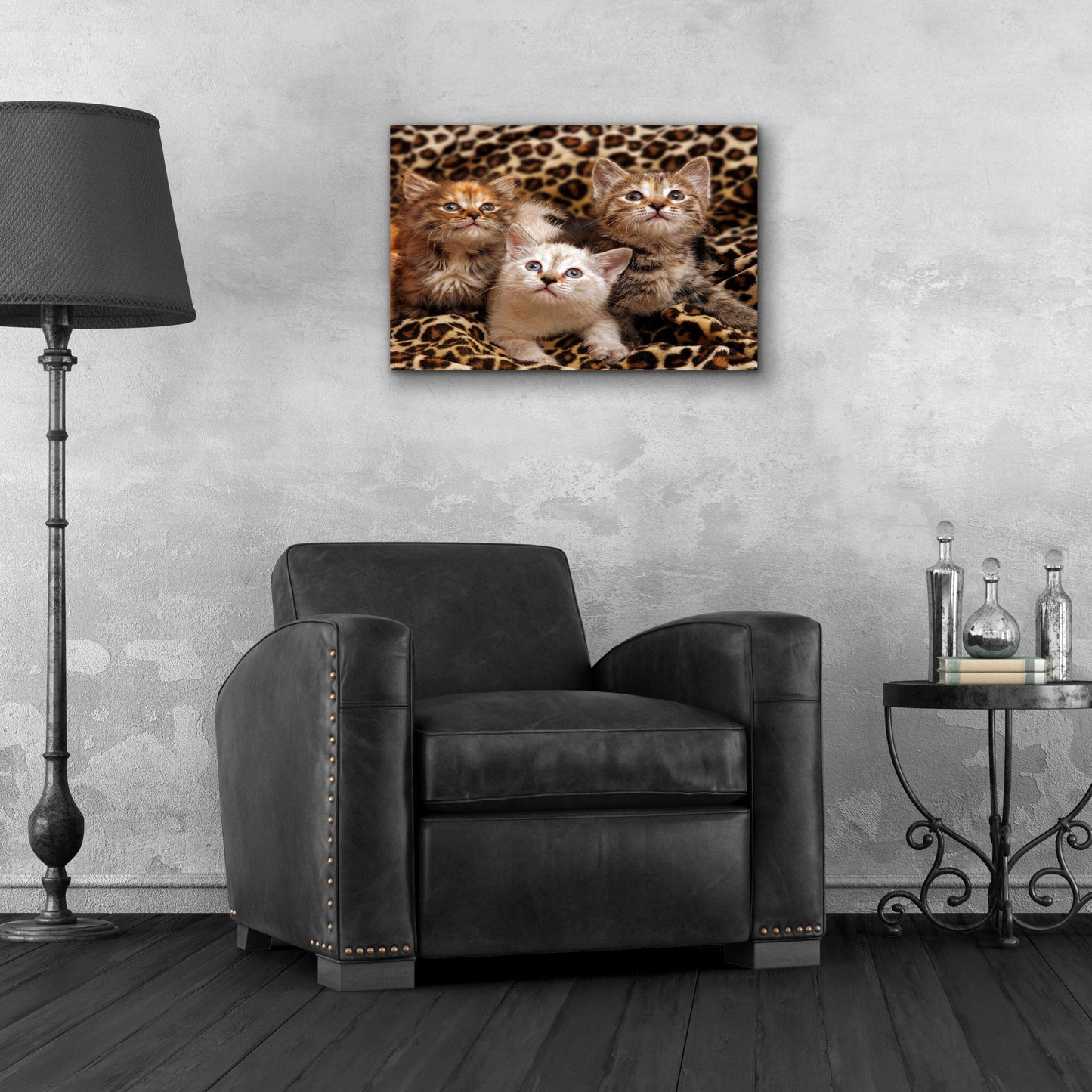 Epic Art 'Kittens' by Mike Jones, Acrylic Glass Wall Art,24x16