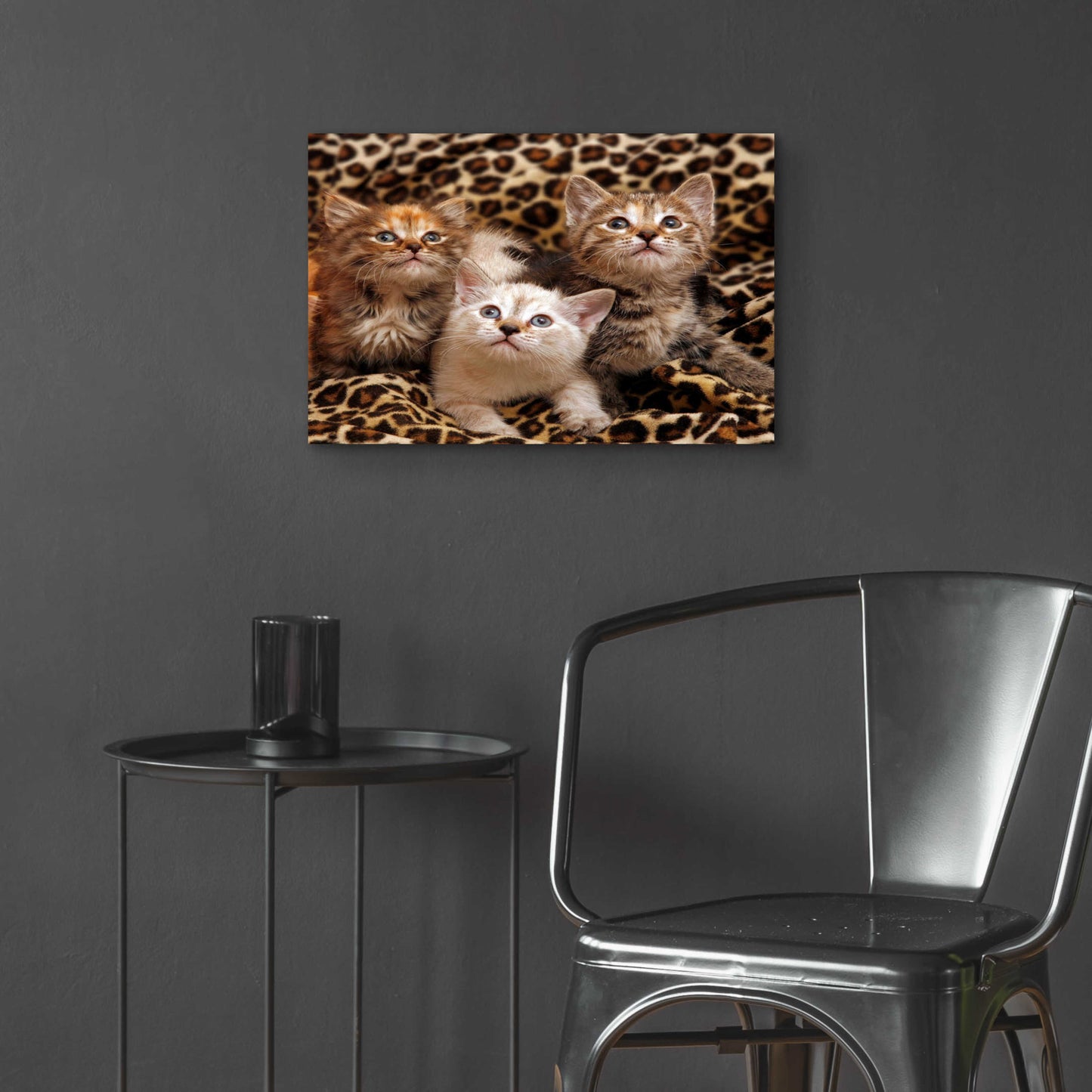 Epic Art 'Kittens' by Mike Jones, Acrylic Glass Wall Art,24x16