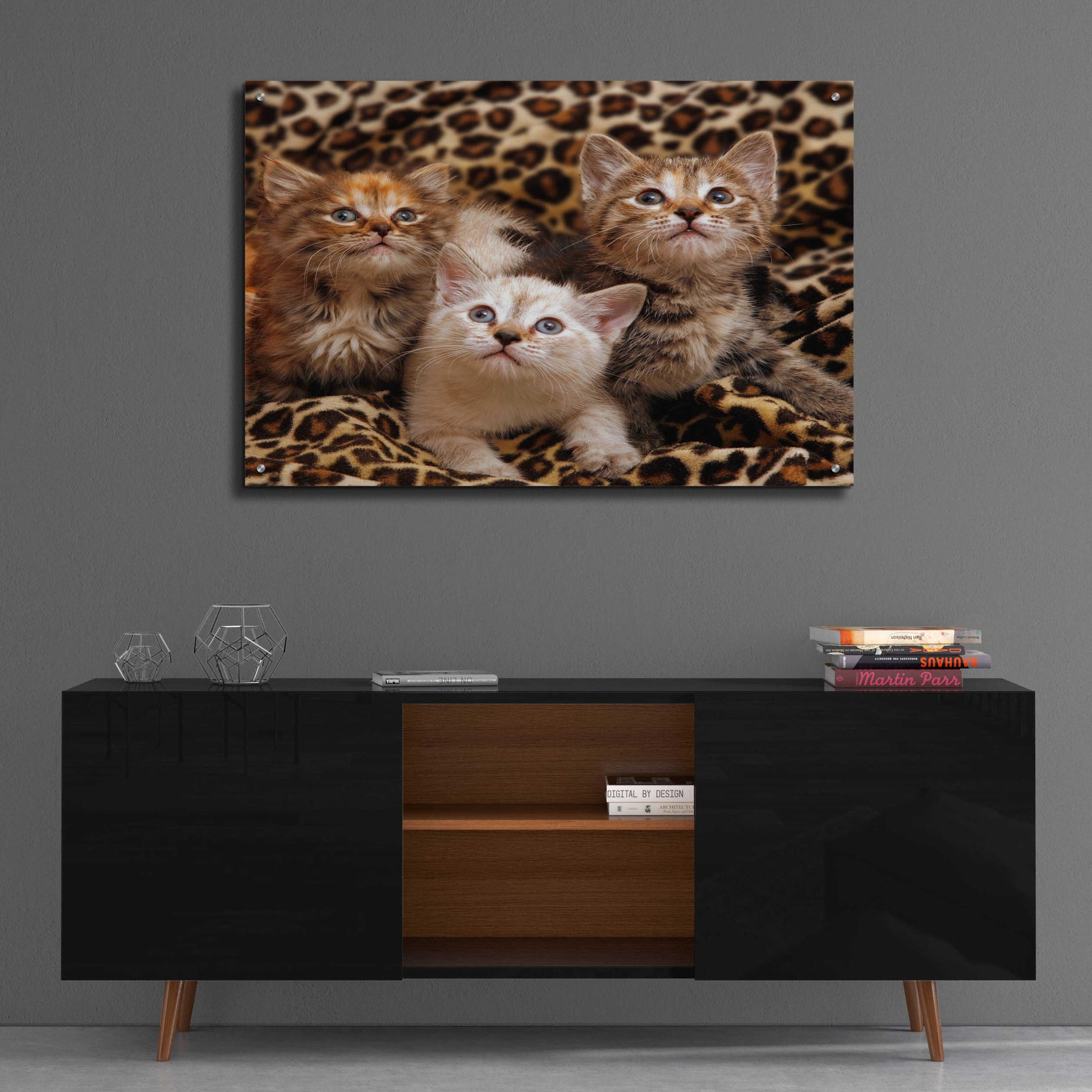 Epic Art 'Kittens' by Mike Jones, Acrylic Glass Wall Art,36x24