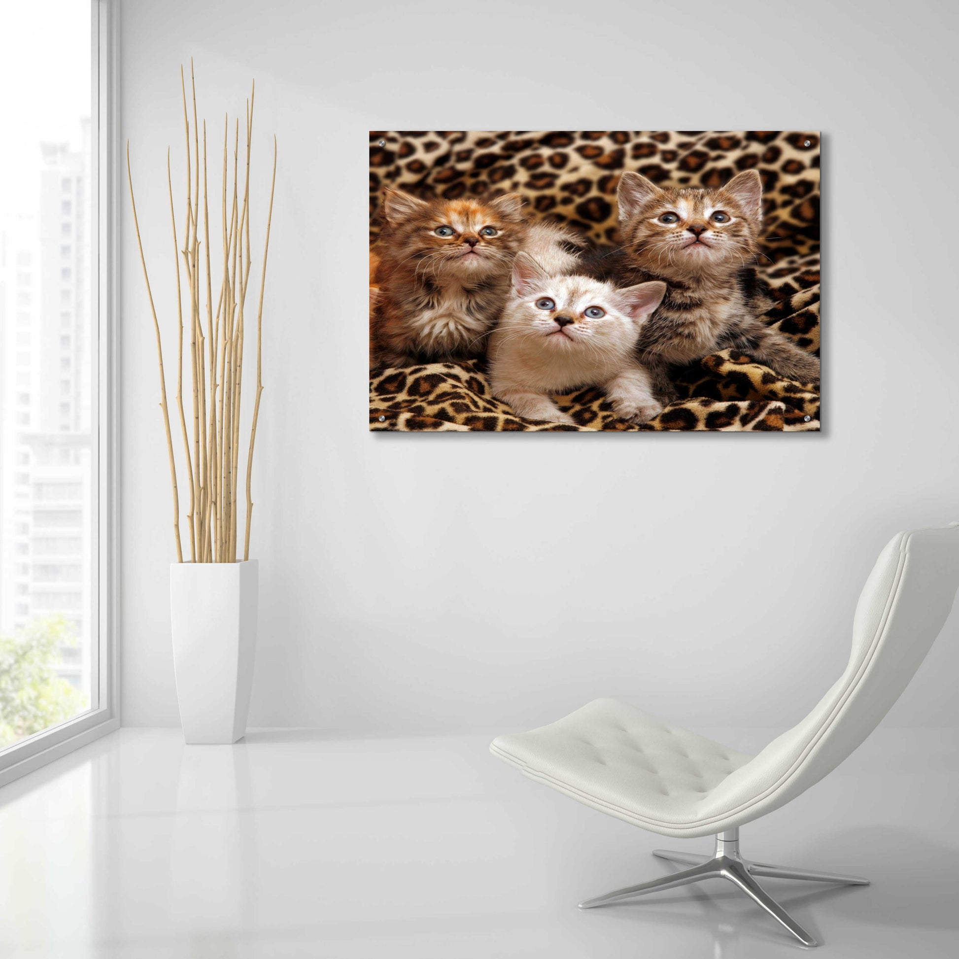 Epic Art 'Kittens' by Mike Jones, Acrylic Glass Wall Art,36x24