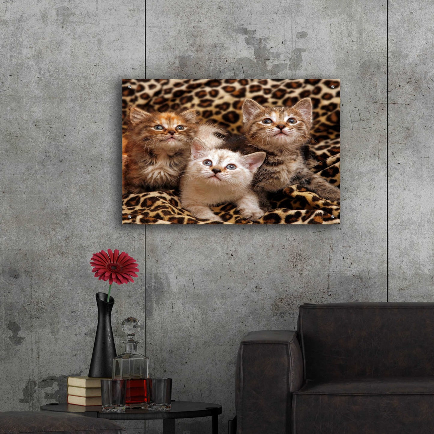 Epic Art 'Kittens' by Mike Jones, Acrylic Glass Wall Art,36x24