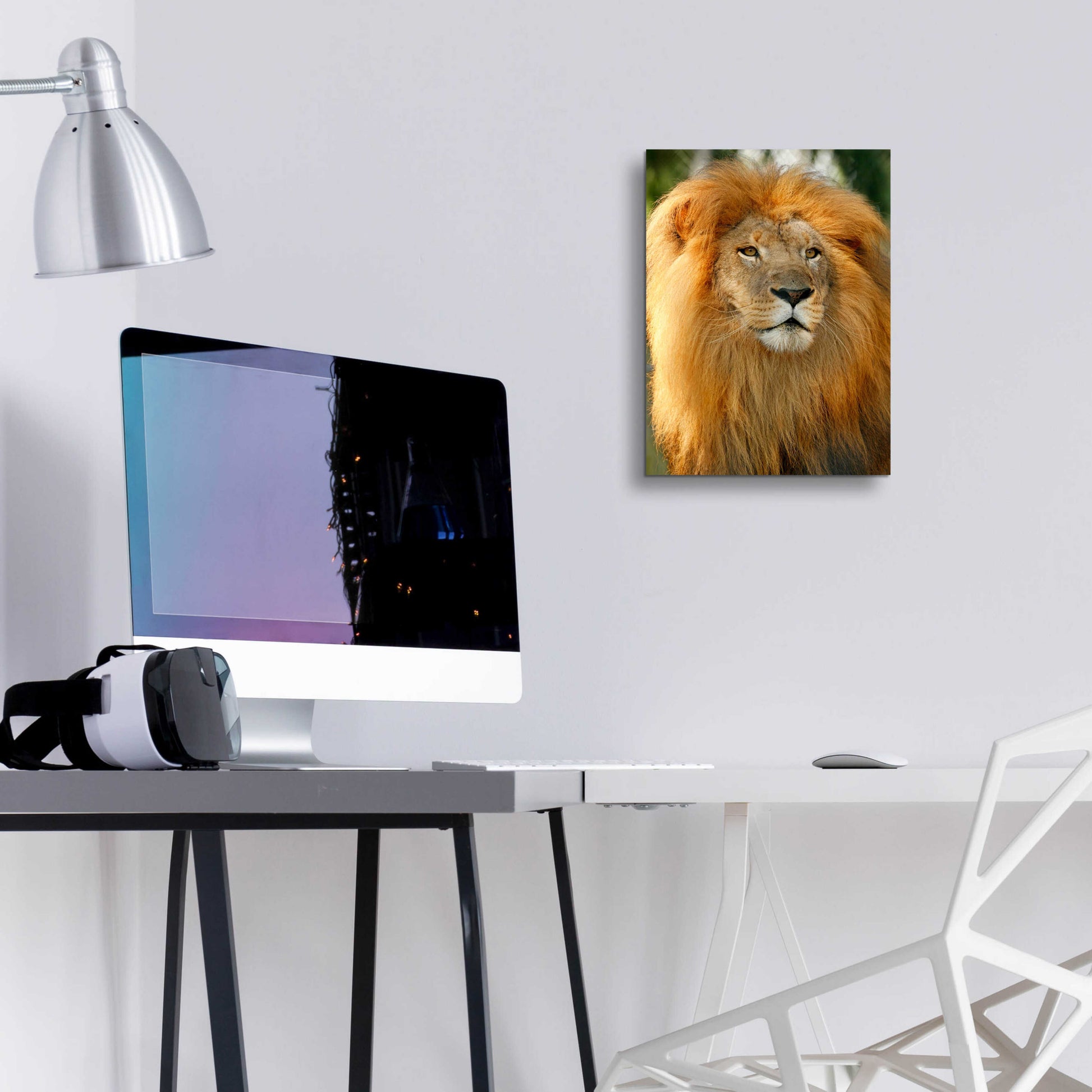 Epic Art 'Lion' by Mike Jones, Acrylic Glass Wall Art,12x16