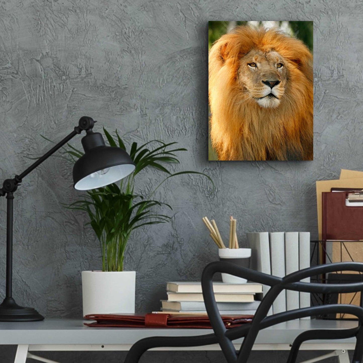 Epic Art 'Lion' by Mike Jones, Acrylic Glass Wall Art,12x16