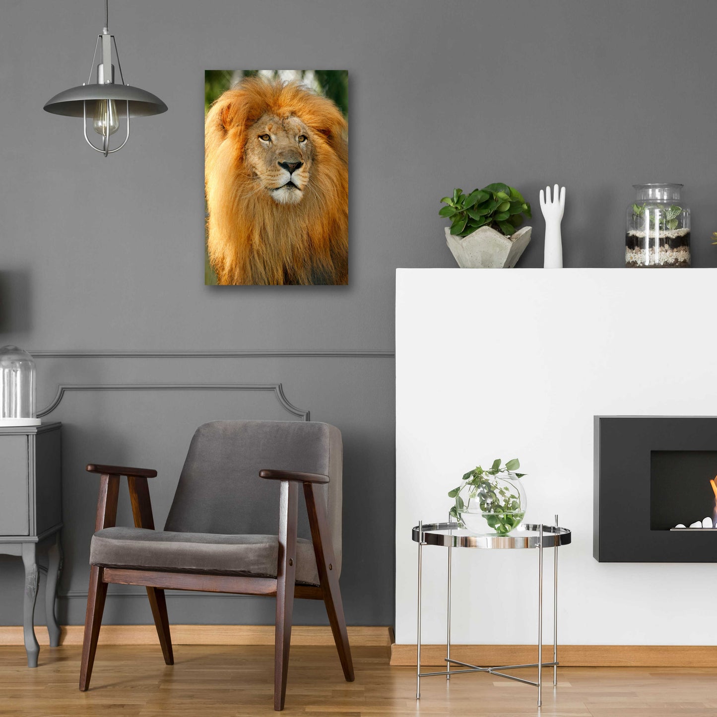 Epic Art 'Lion' by Mike Jones, Acrylic Glass Wall Art,16x24