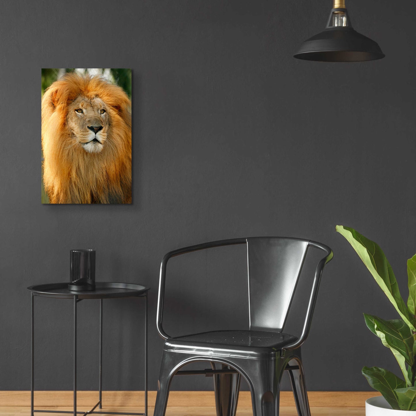 Epic Art 'Lion' by Mike Jones, Acrylic Glass Wall Art,16x24