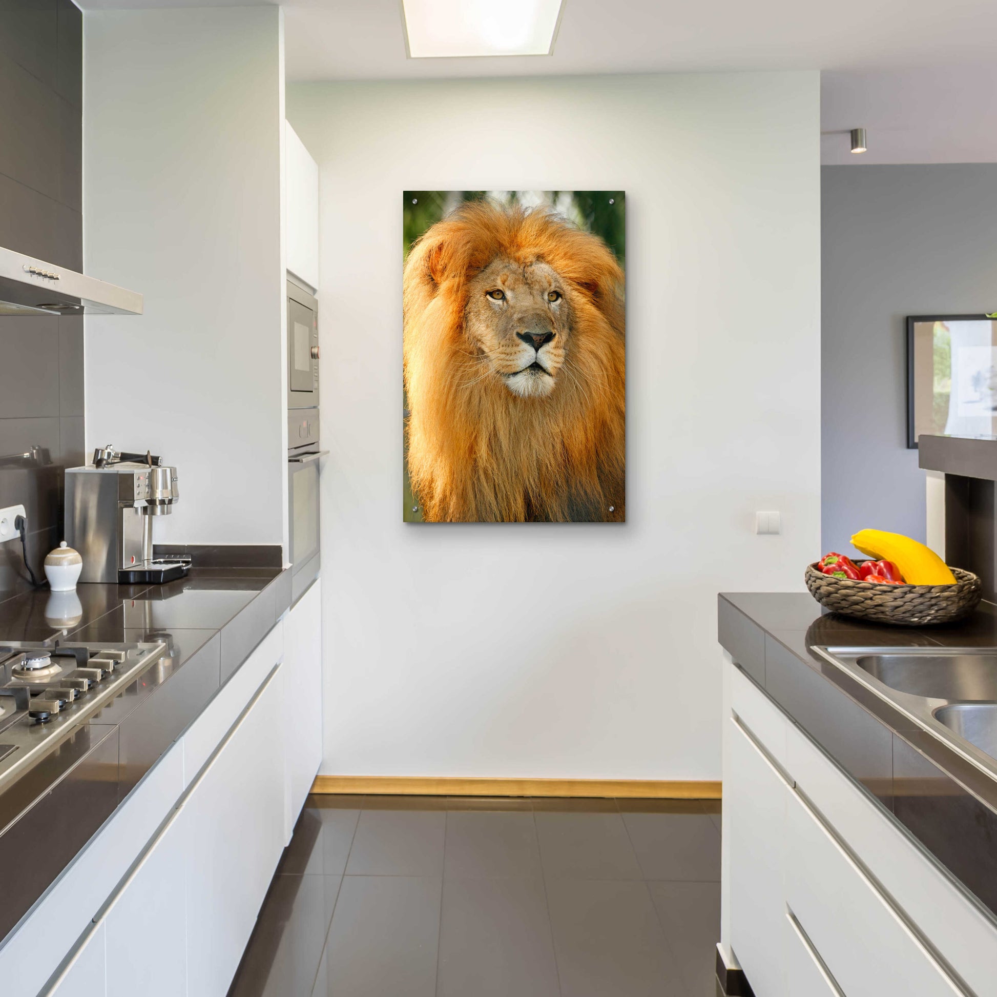 Epic Art 'Lion' by Mike Jones, Acrylic Glass Wall Art,24x36