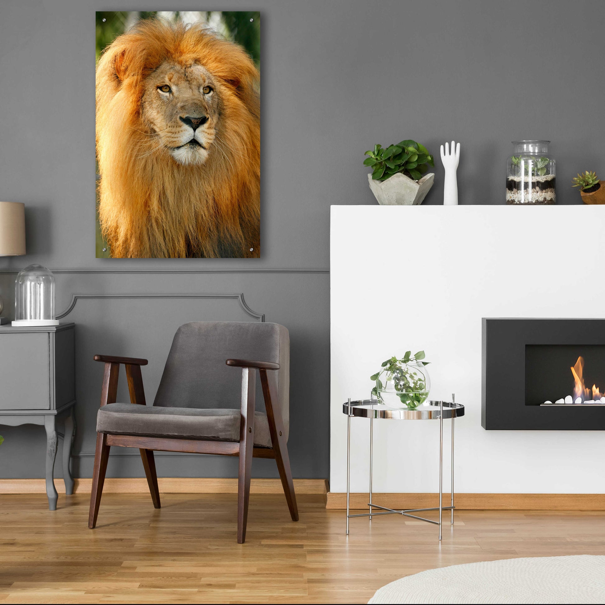 Epic Art 'Lion' by Mike Jones, Acrylic Glass Wall Art,24x36