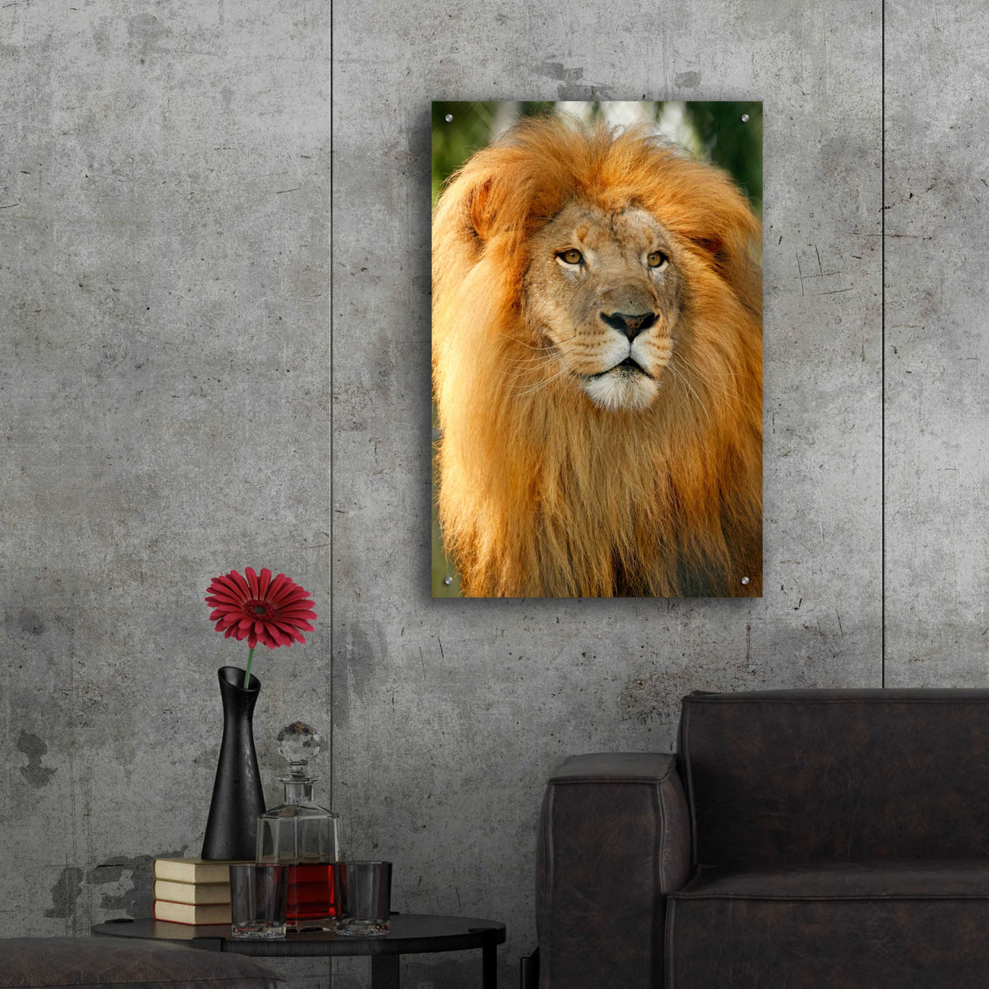 Epic Art 'Lion' by Mike Jones, Acrylic Glass Wall Art,24x36