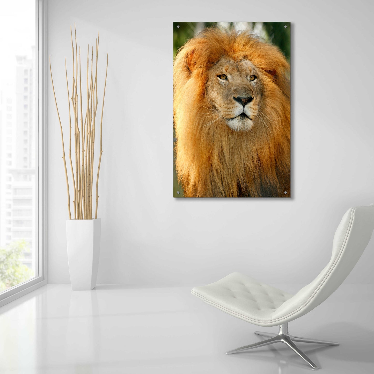 Epic Art 'Lion' by Mike Jones, Acrylic Glass Wall Art,24x36