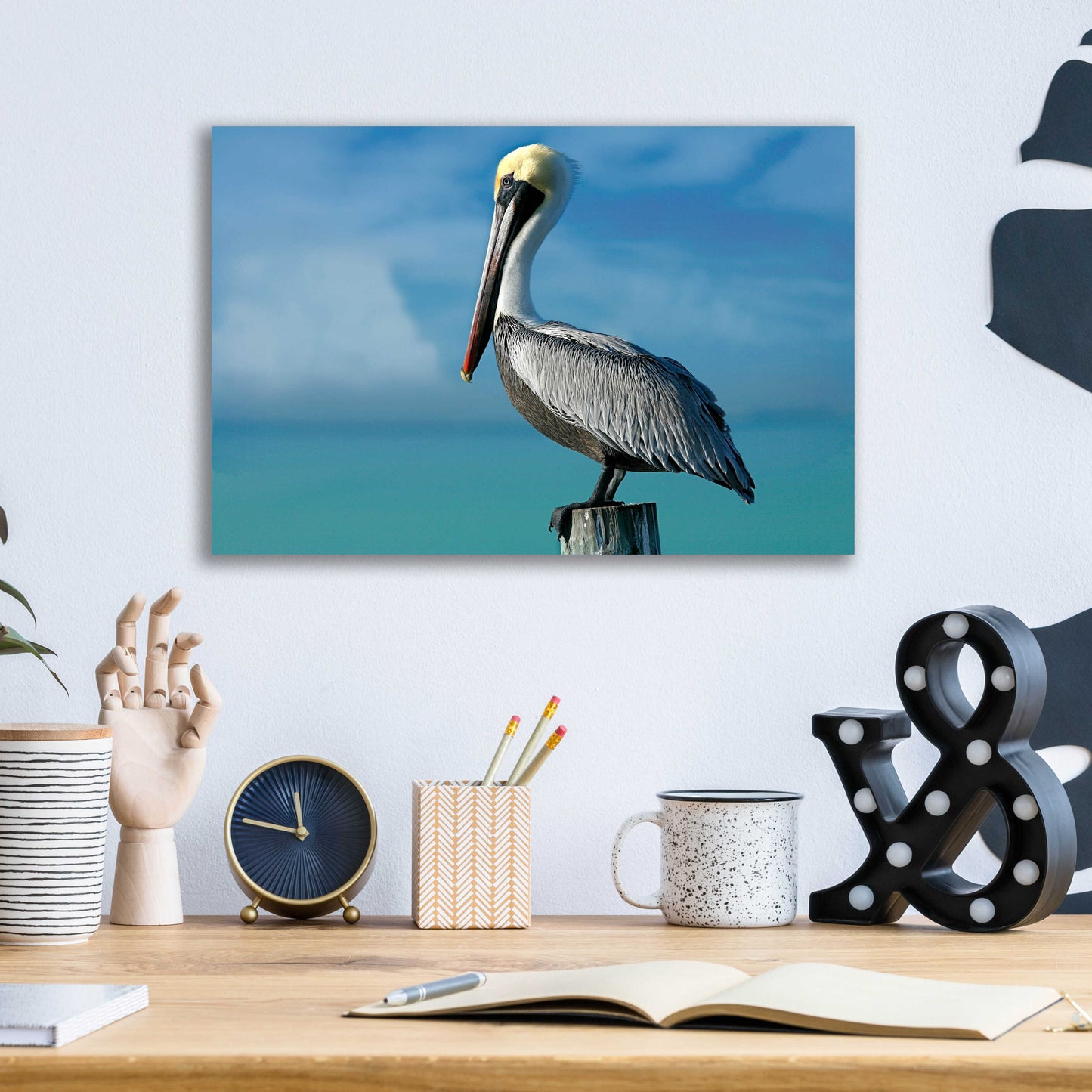 Epic Art 'Pelican' by Mike Jones, Acrylic Glass Wall Art,16x12