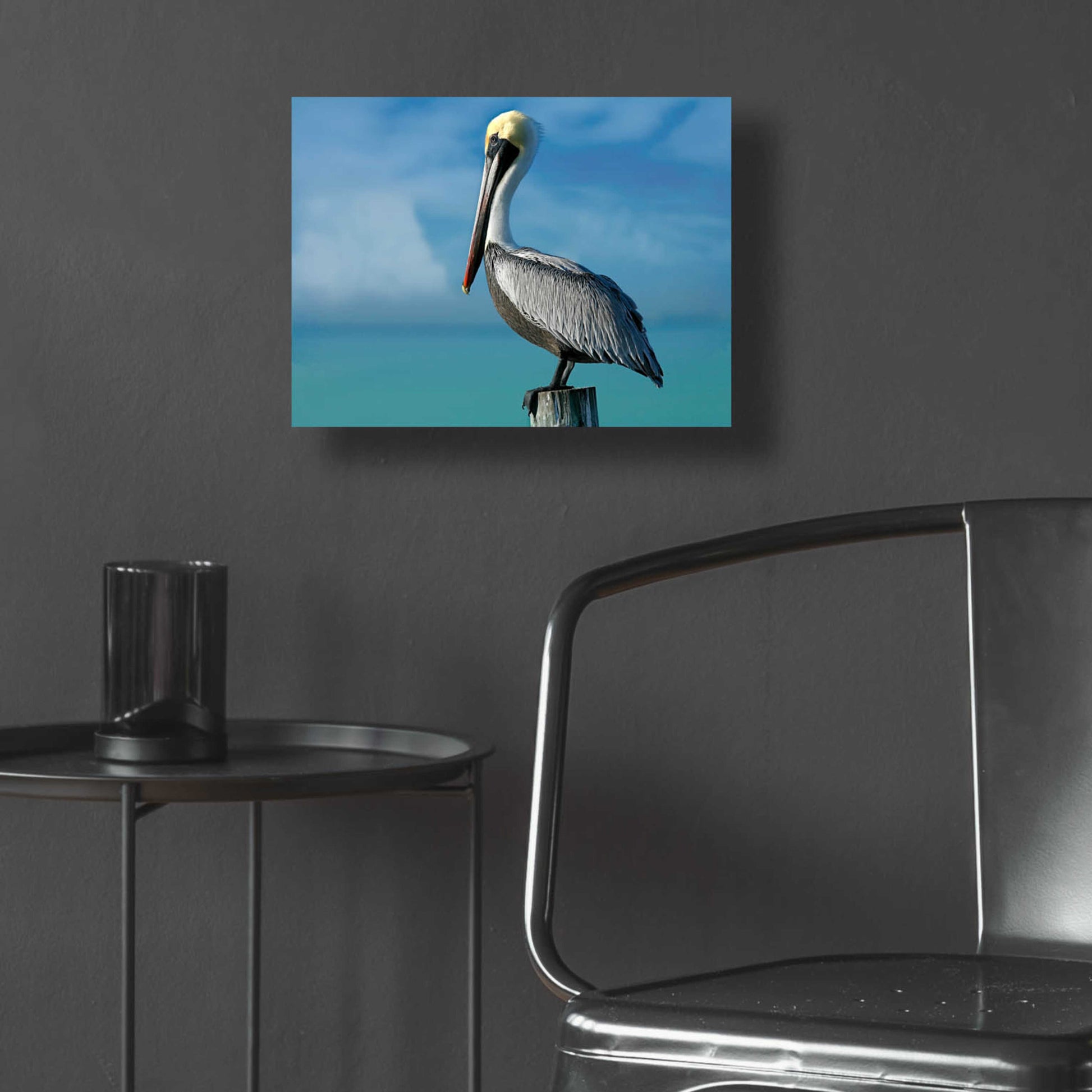 Epic Art 'Pelican' by Mike Jones, Acrylic Glass Wall Art,16x12