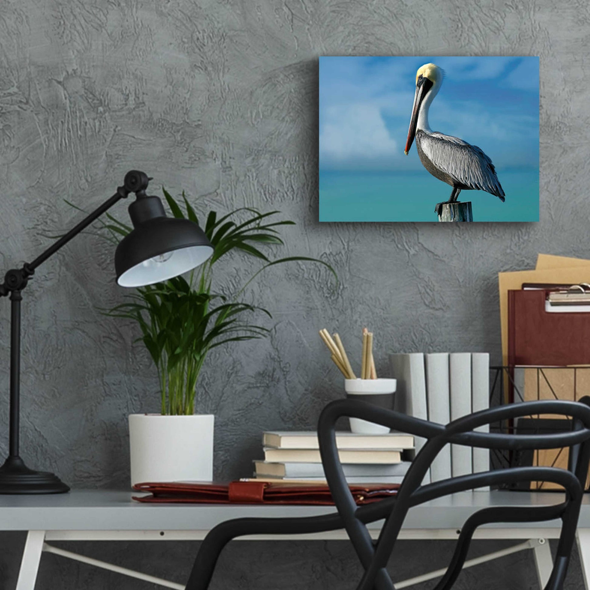 Epic Art 'Pelican' by Mike Jones, Acrylic Glass Wall Art,16x12