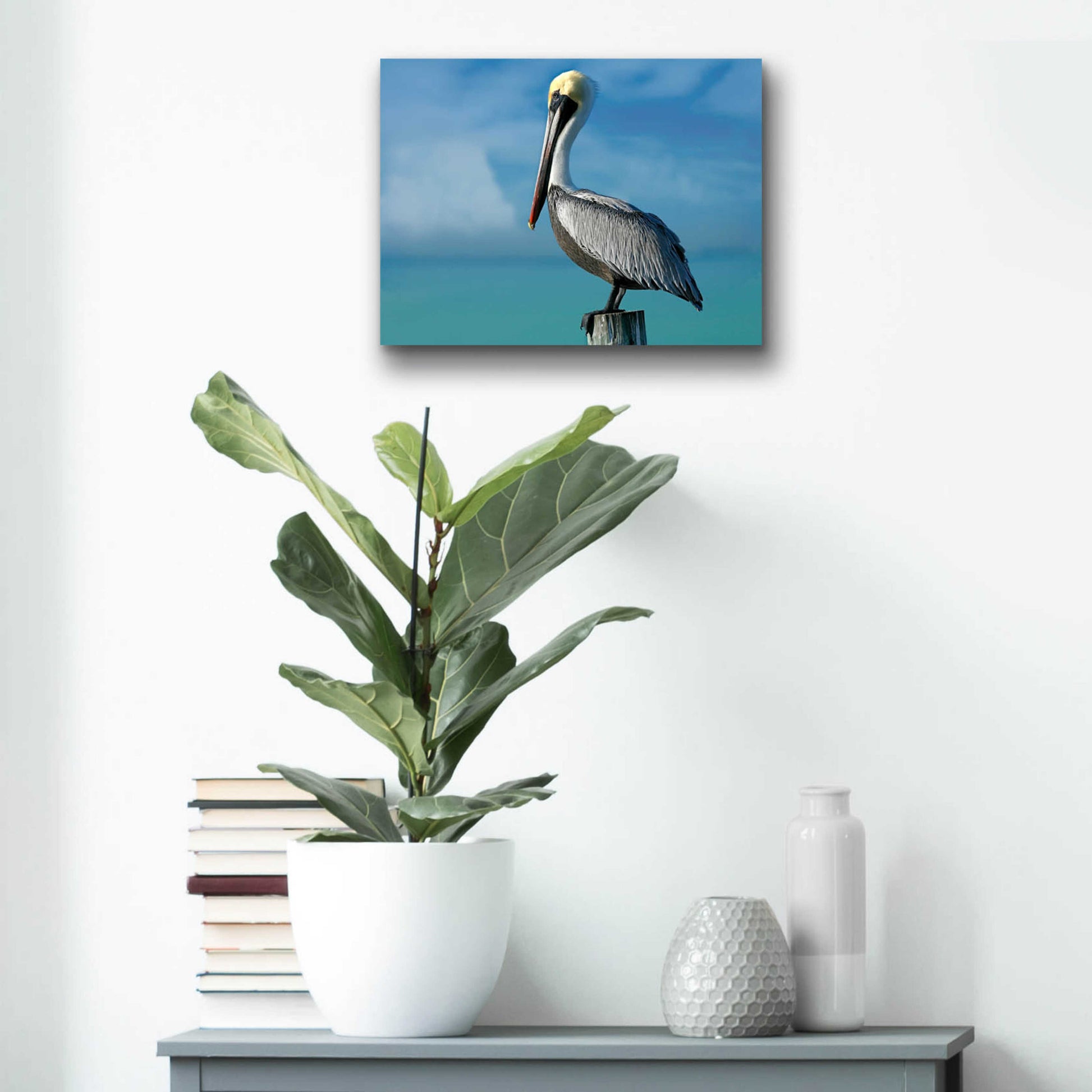 Epic Art 'Pelican' by Mike Jones, Acrylic Glass Wall Art,16x12