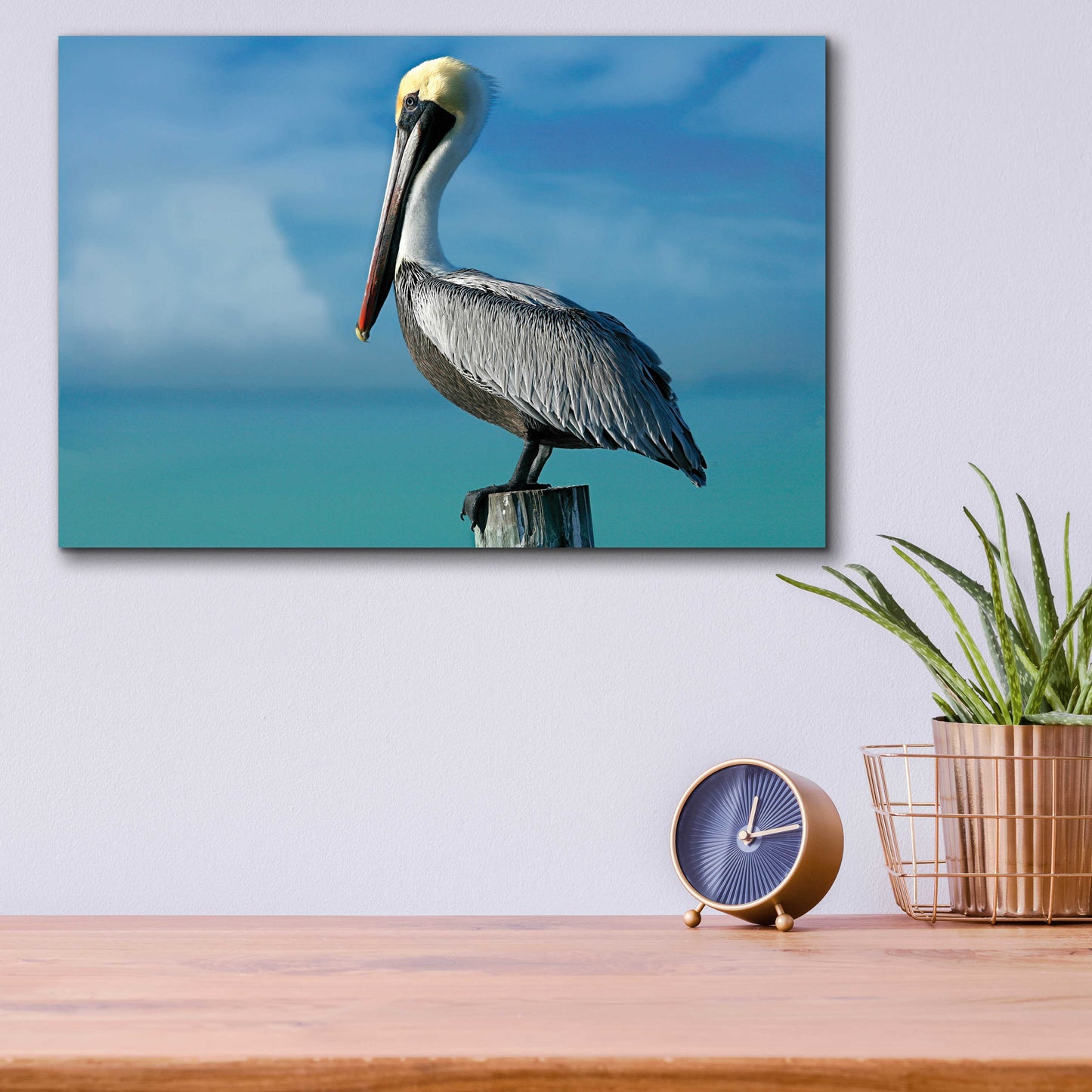 Epic Art 'Pelican' by Mike Jones, Acrylic Glass Wall Art,16x12