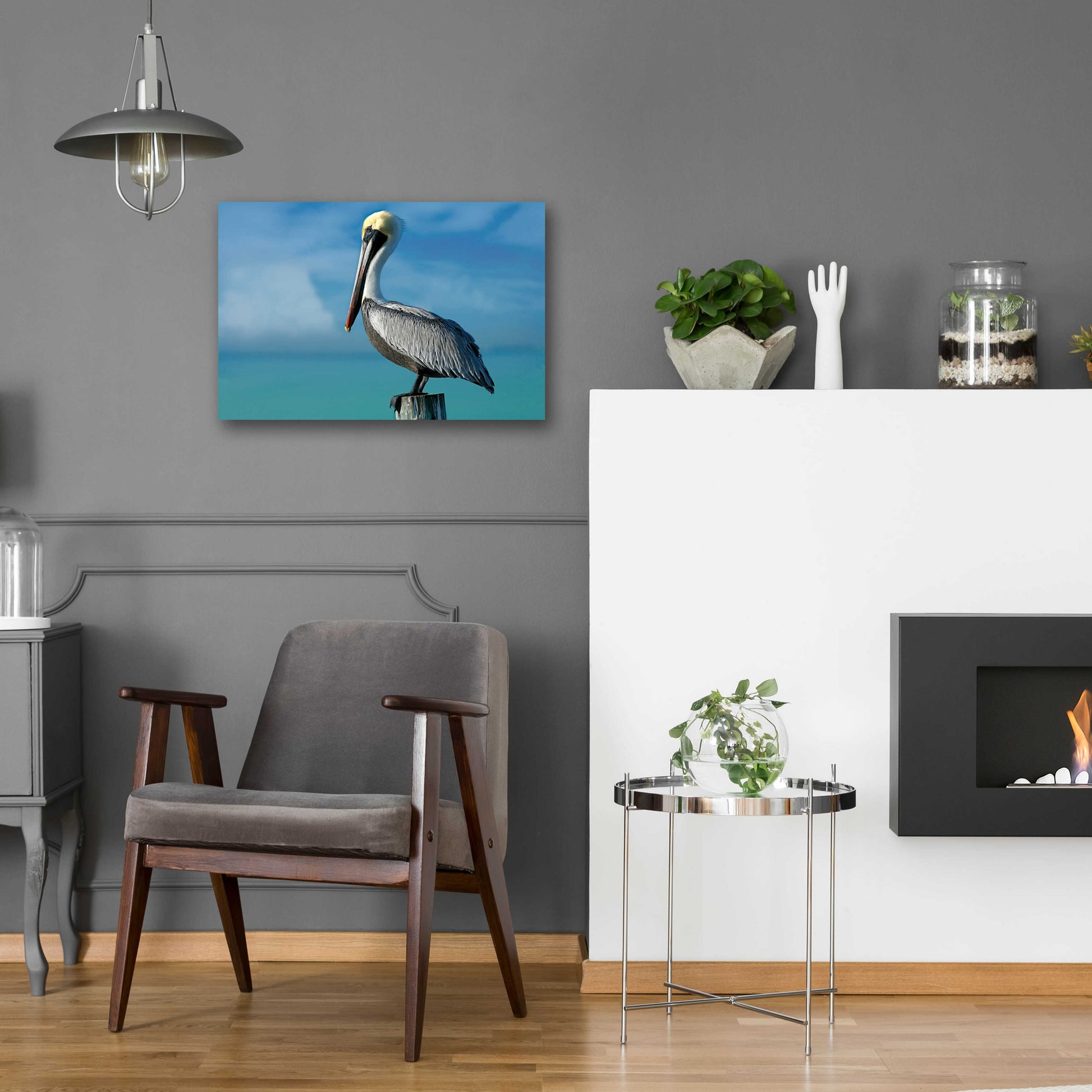 Epic Art 'Pelican' by Mike Jones, Acrylic Glass Wall Art,24x16