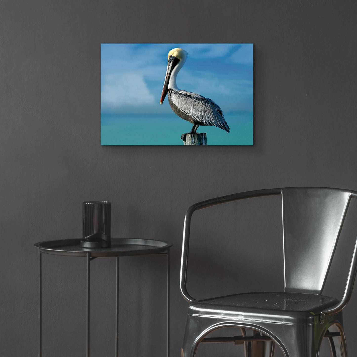 Epic Art 'Pelican' by Mike Jones, Acrylic Glass Wall Art,24x16