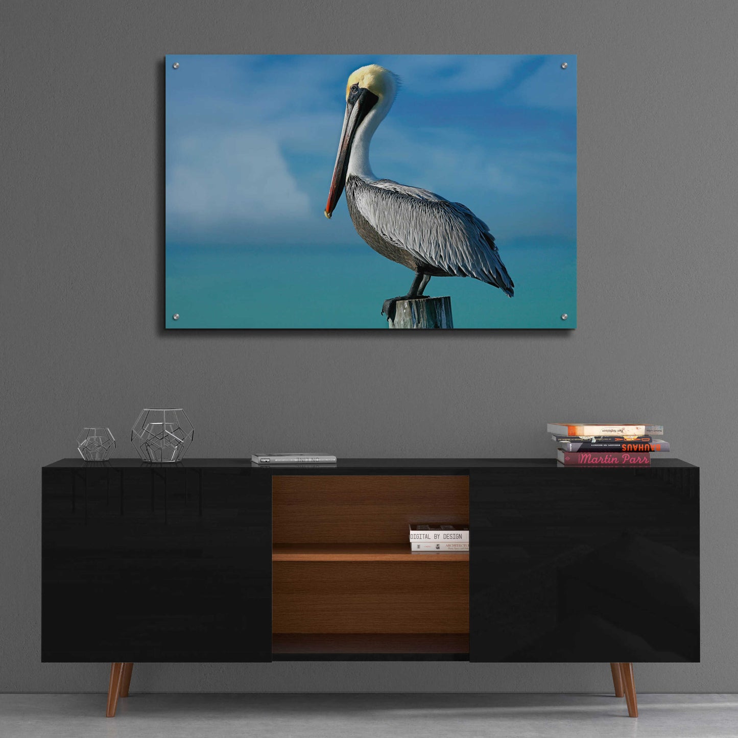 Epic Art 'Pelican' by Mike Jones, Acrylic Glass Wall Art,36x24