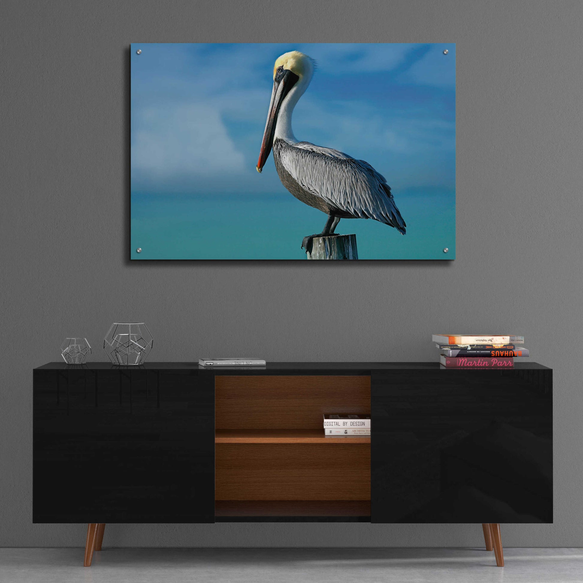 Epic Art 'Pelican' by Mike Jones, Acrylic Glass Wall Art,36x24