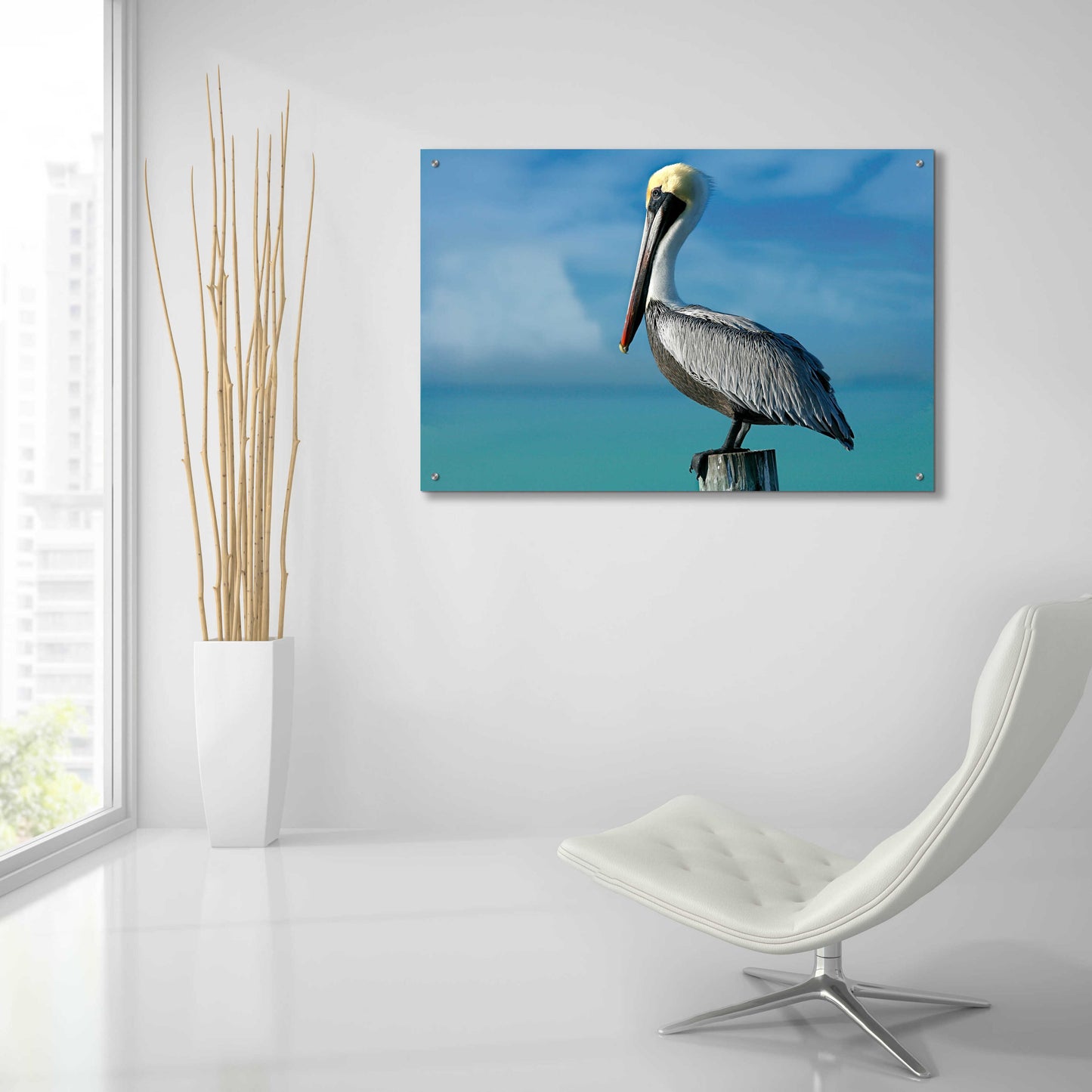 Epic Art 'Pelican' by Mike Jones, Acrylic Glass Wall Art,36x24