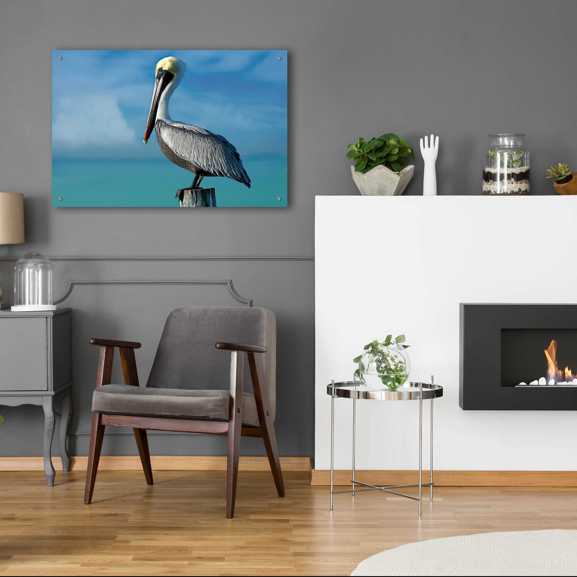 Epic Art 'Pelican' by Mike Jones, Acrylic Glass Wall Art,36x24