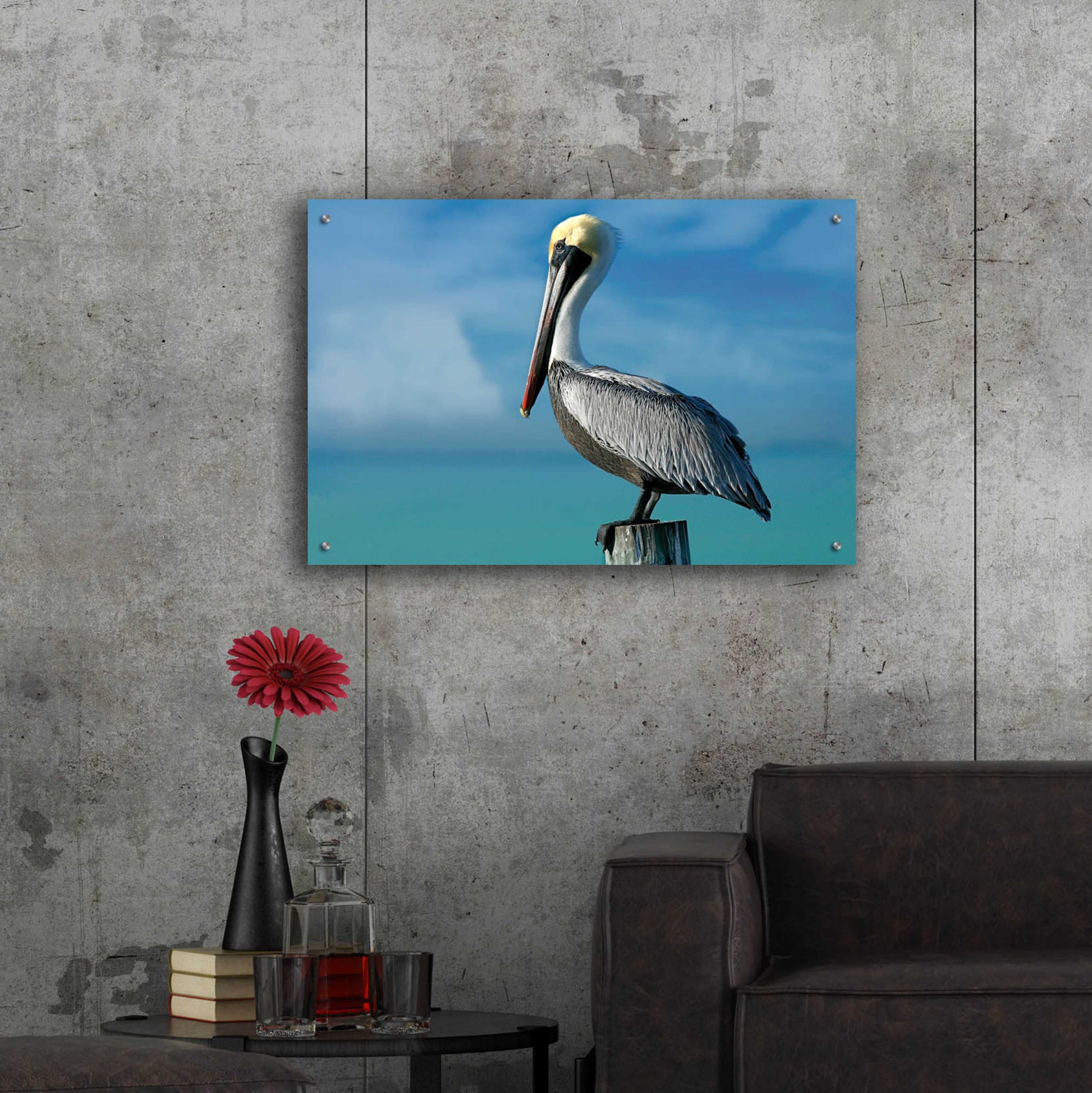 Epic Art 'Pelican' by Mike Jones, Acrylic Glass Wall Art,36x24