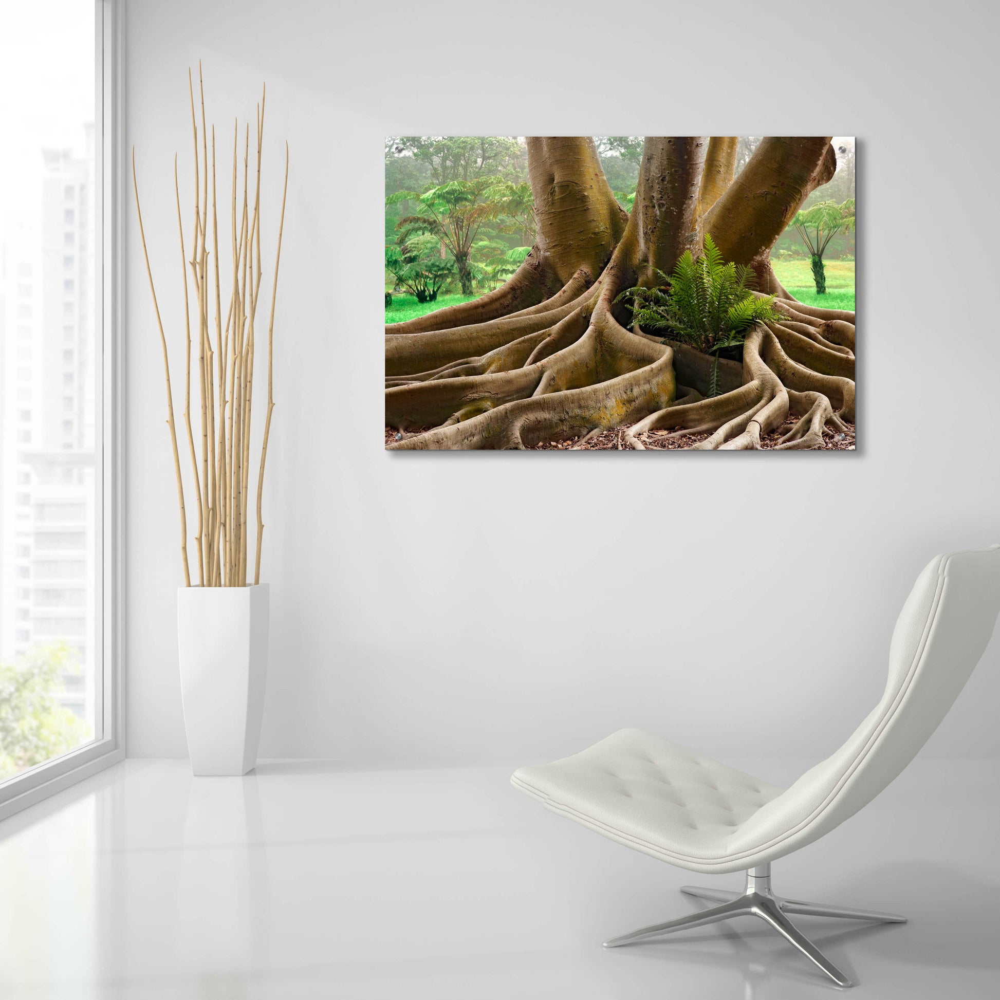 Epic Art 'Roots Sarasots Big Tree' by Mike Jones, Acrylic Glass Wall Art,36x24