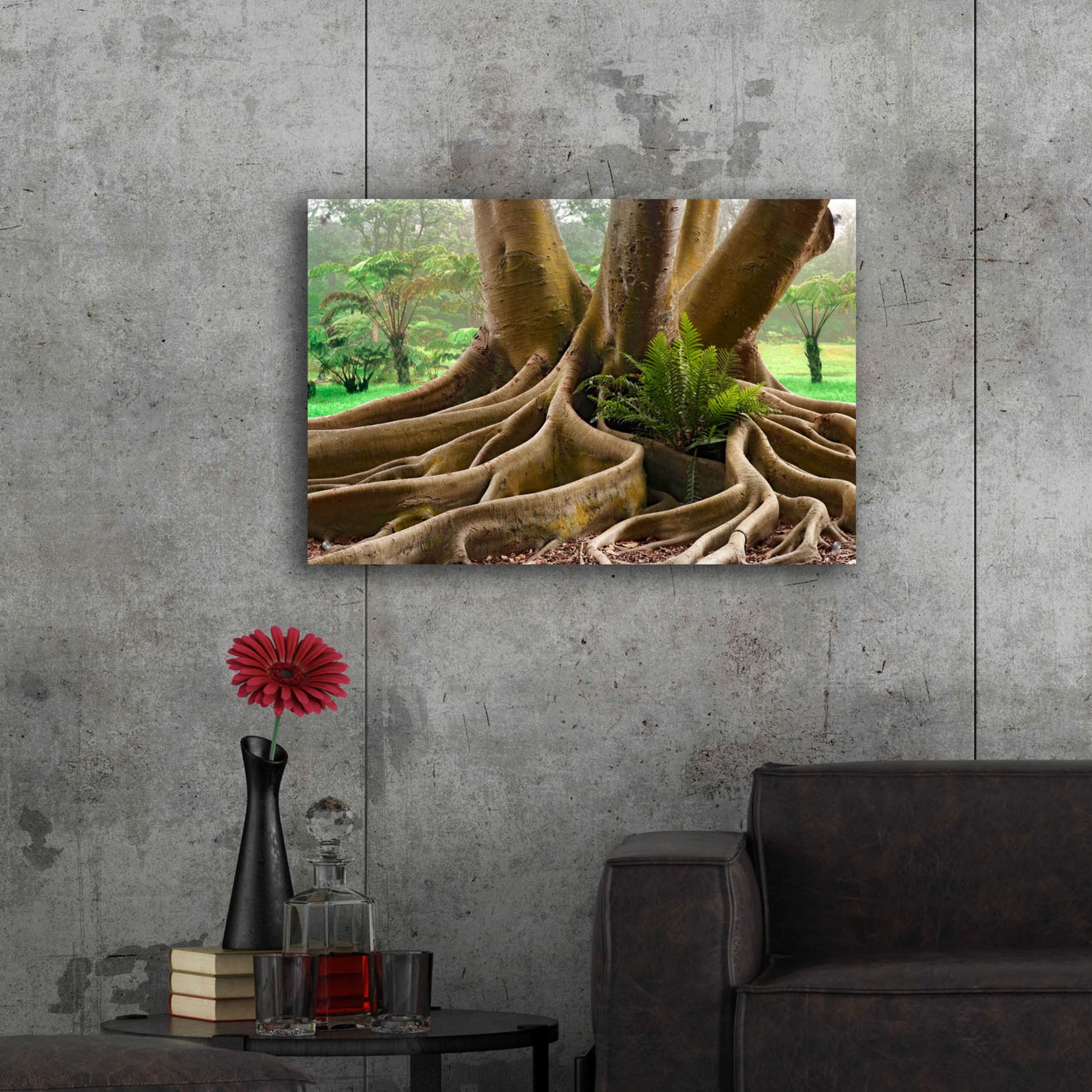 Epic Art 'Roots Sarasots Big Tree' by Mike Jones, Acrylic Glass Wall Art,36x24