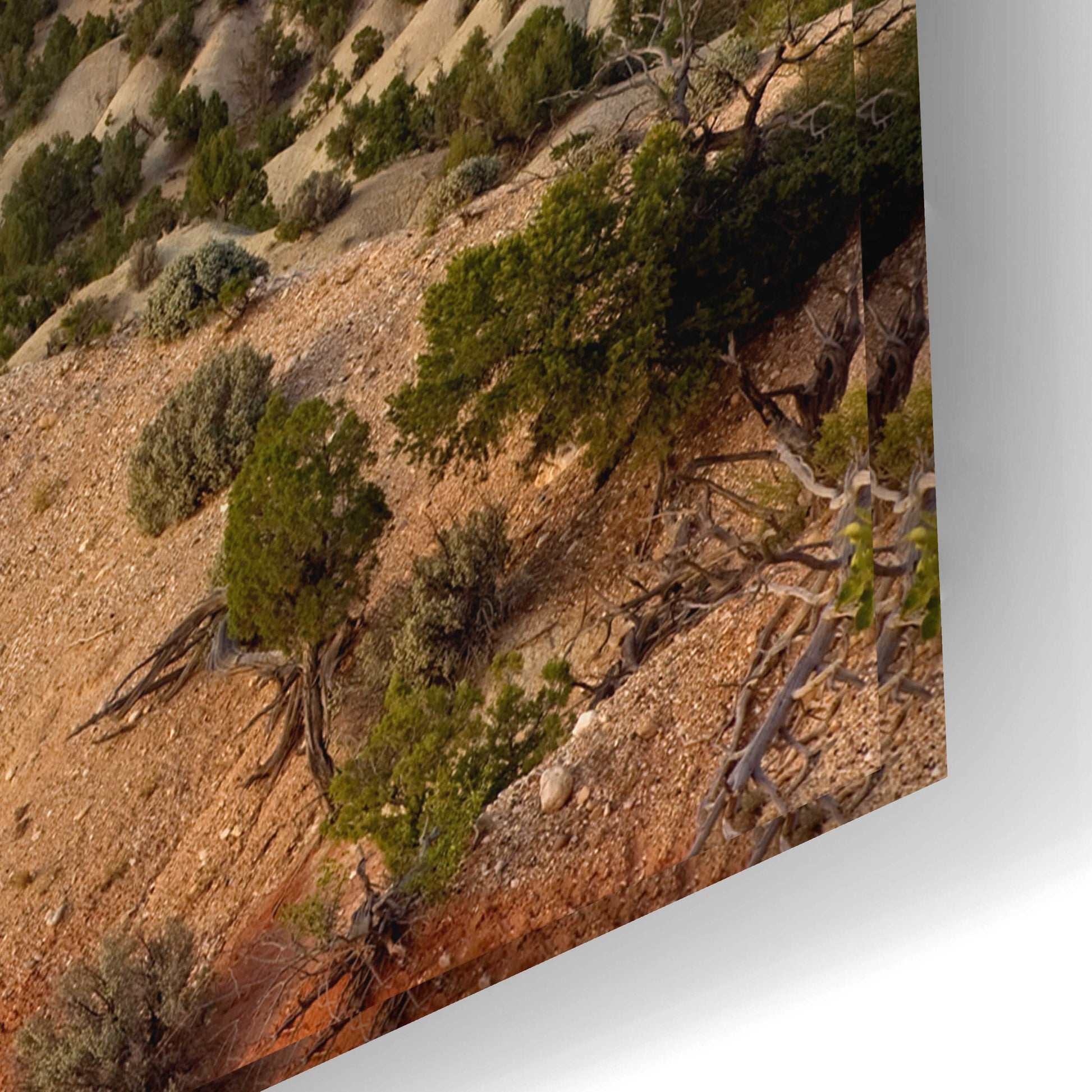 Epic Art 'Cottonwood Canyon Rd' by Mike Jones, Acrylic Glass Wall Art,24x16