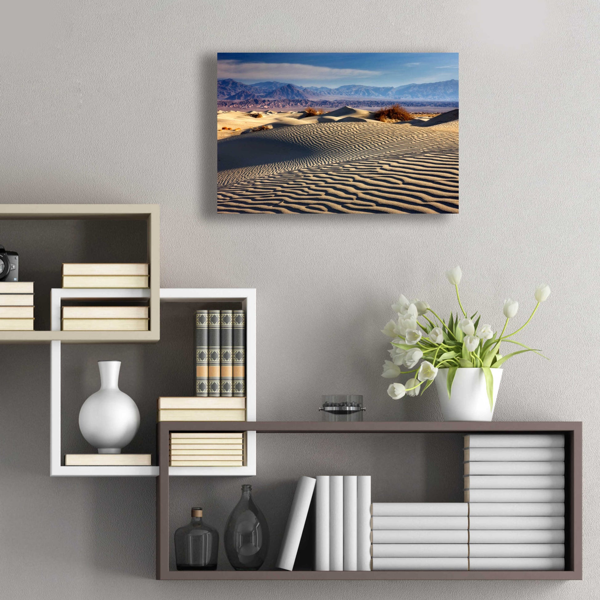 Epic Art 'Death Valley Mesquite Dunes' by Mike Jones, Acrylic Glass Wall Art,24x16