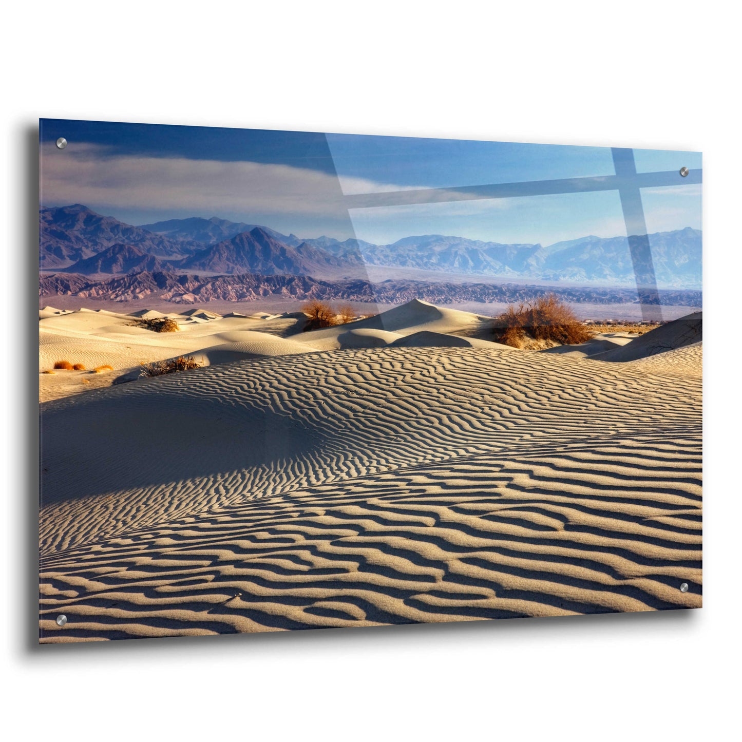 Epic Art 'Death Valley Mesquite Dunes' by Mike Jones, Acrylic Glass Wall Art,36x24