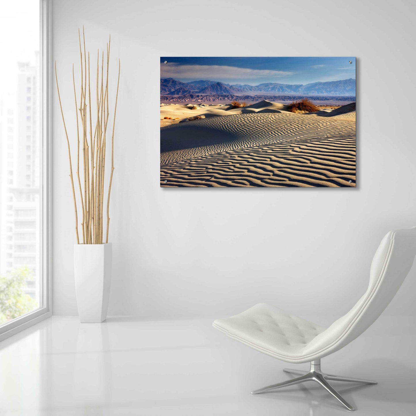 Epic Art 'Death Valley Mesquite Dunes' by Mike Jones, Acrylic Glass Wall Art,36x24