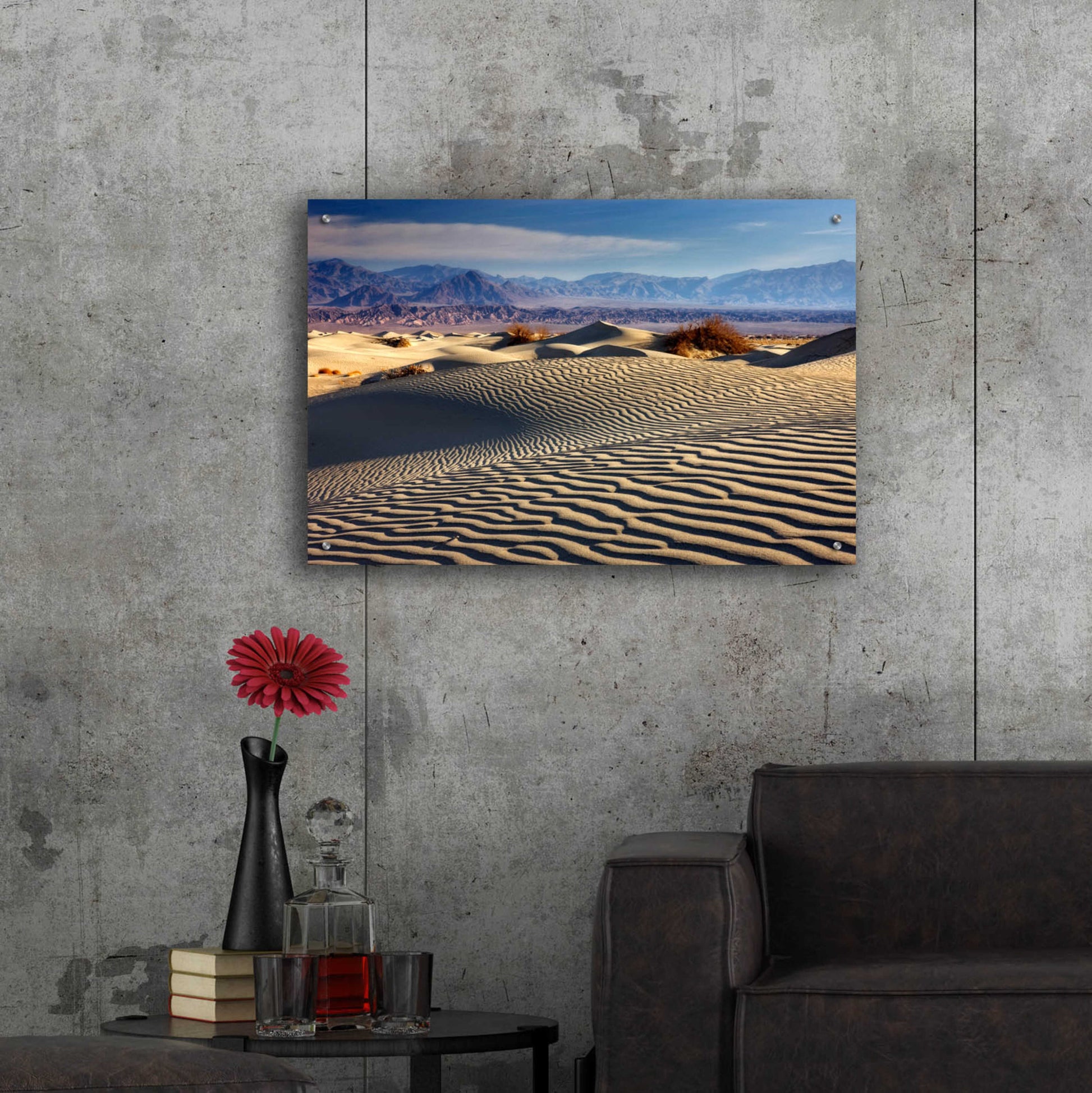 Epic Art 'Death Valley Mesquite Dunes' by Mike Jones, Acrylic Glass Wall Art,36x24