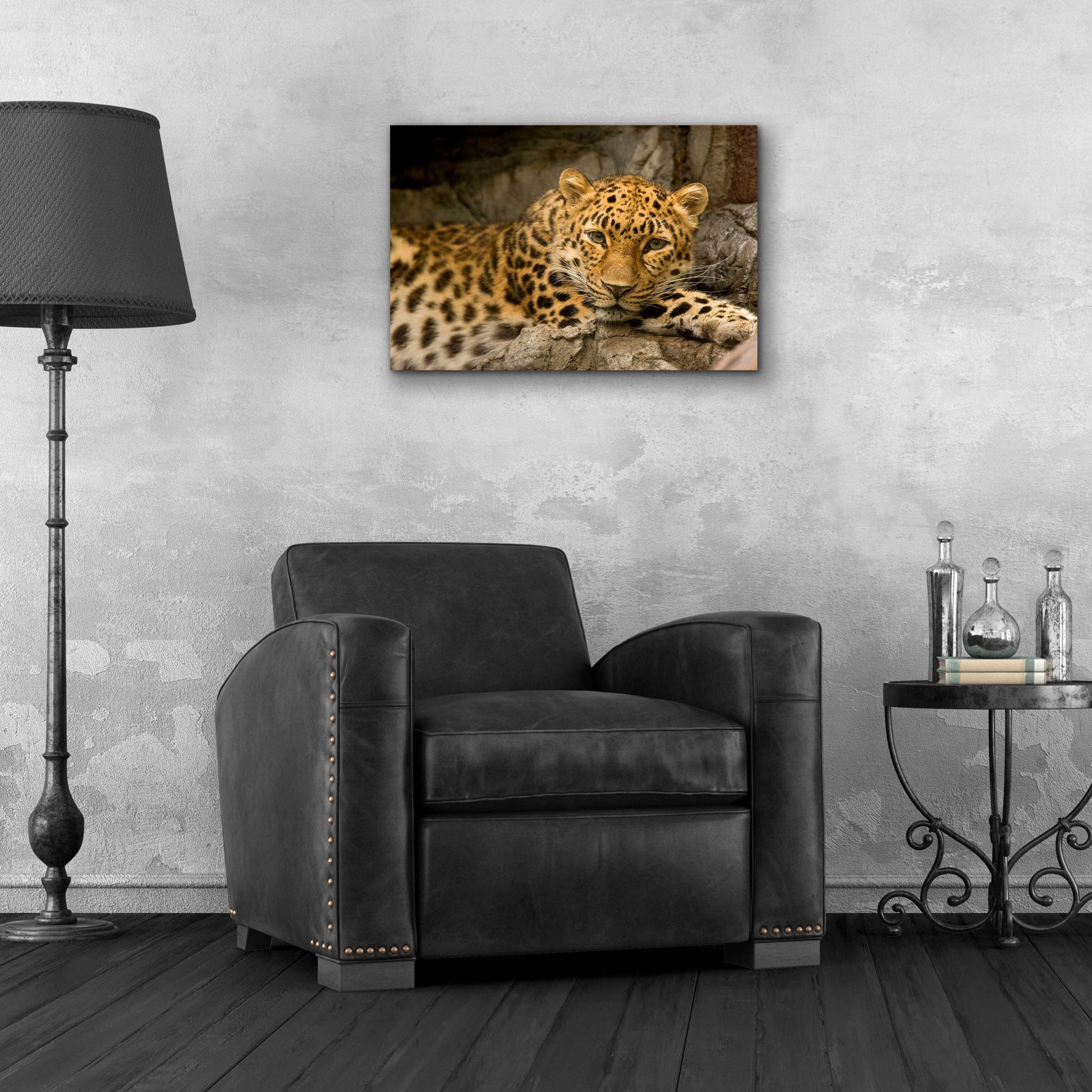 Epic Art 'Denver Zoo Snow Leopard' by Mike Jones, Acrylic Glass Wall Art,24x16