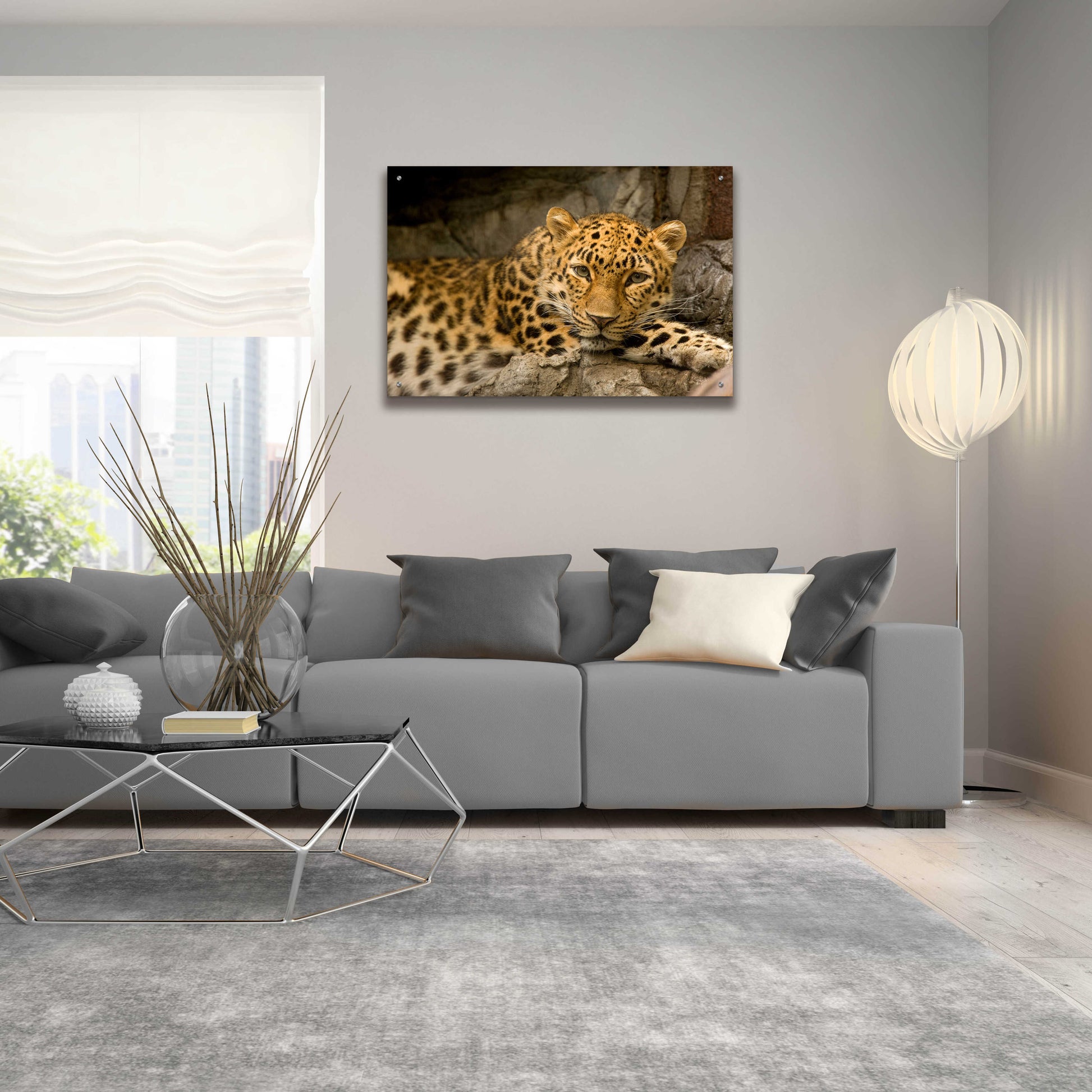 Epic Art 'Denver Zoo Snow Leopard' by Mike Jones, Acrylic Glass Wall Art,36x24