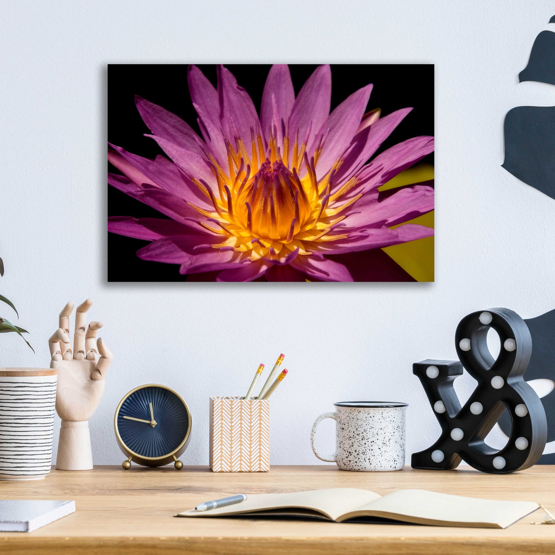 Epic Art 'Fairchild Gardens Lily' by Mike Jones, Acrylic Glass Wall Art,16x12