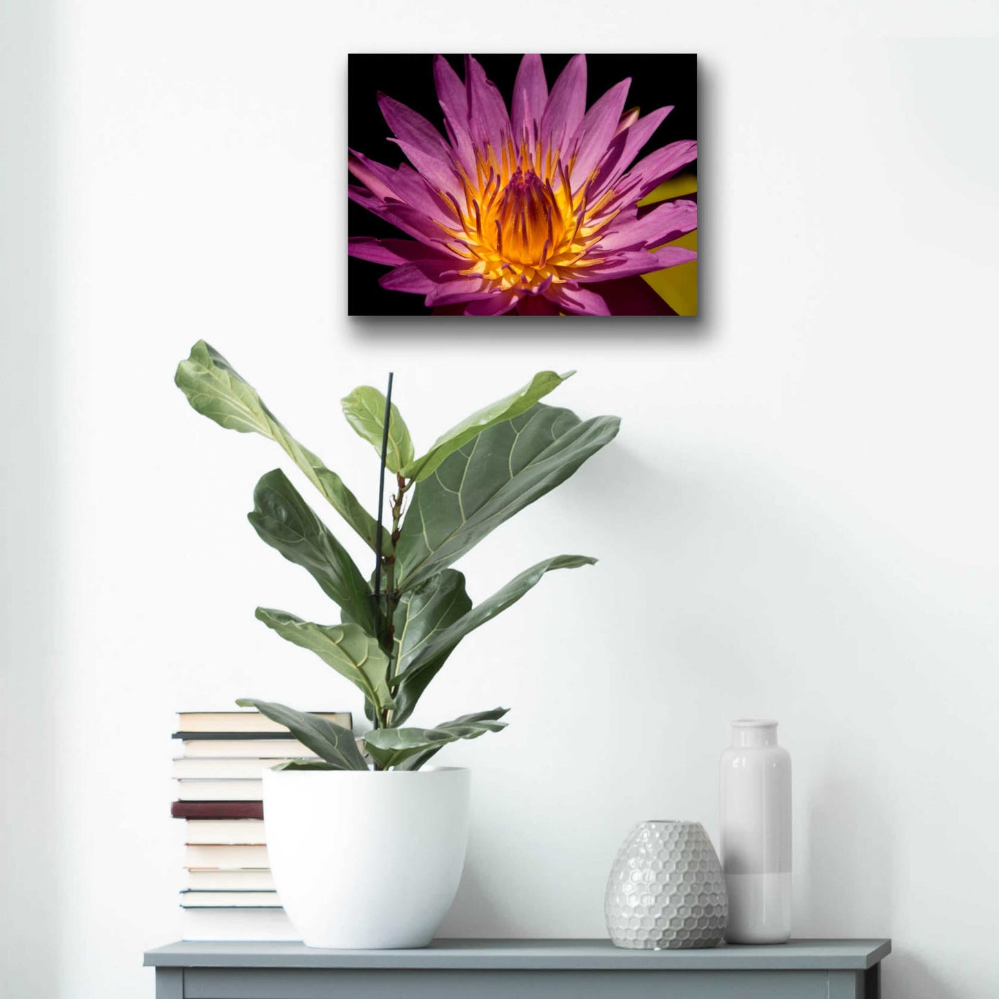 Epic Art 'Fairchild Gardens Lily' by Mike Jones, Acrylic Glass Wall Art,16x12