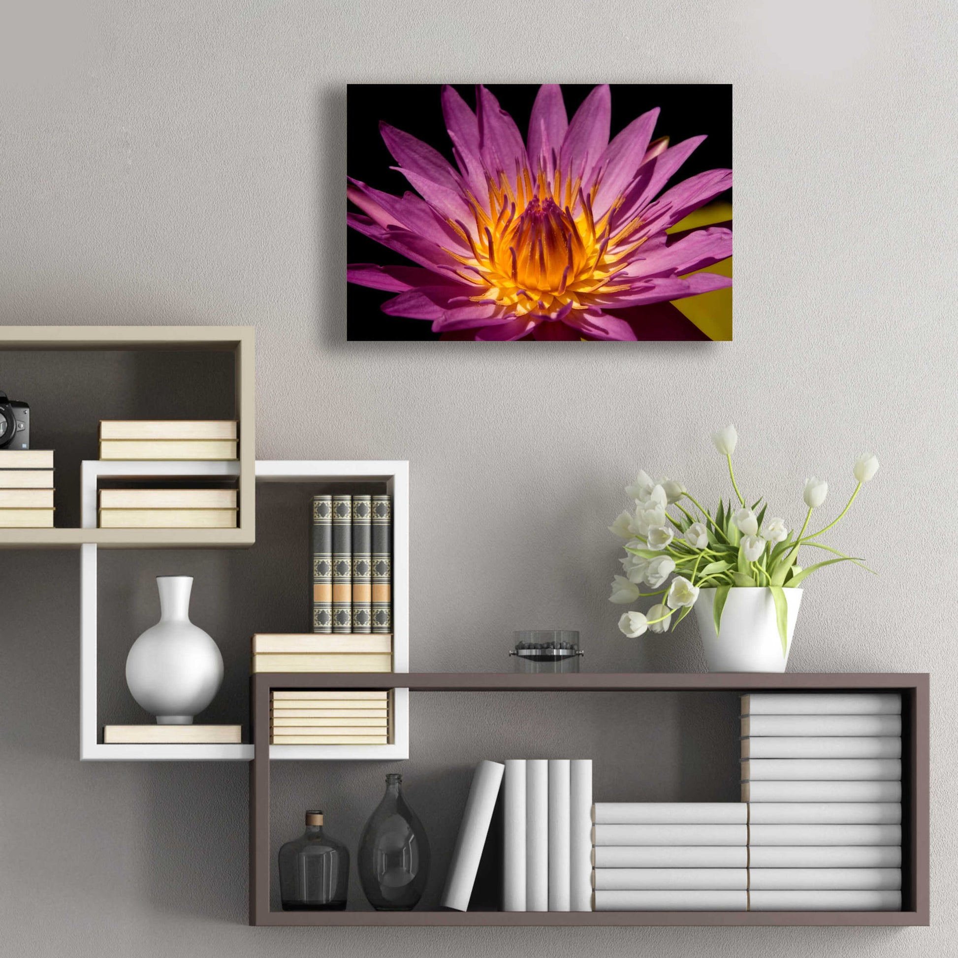 Epic Art 'Fairchild Gardens Lily' by Mike Jones, Acrylic Glass Wall Art,24x16