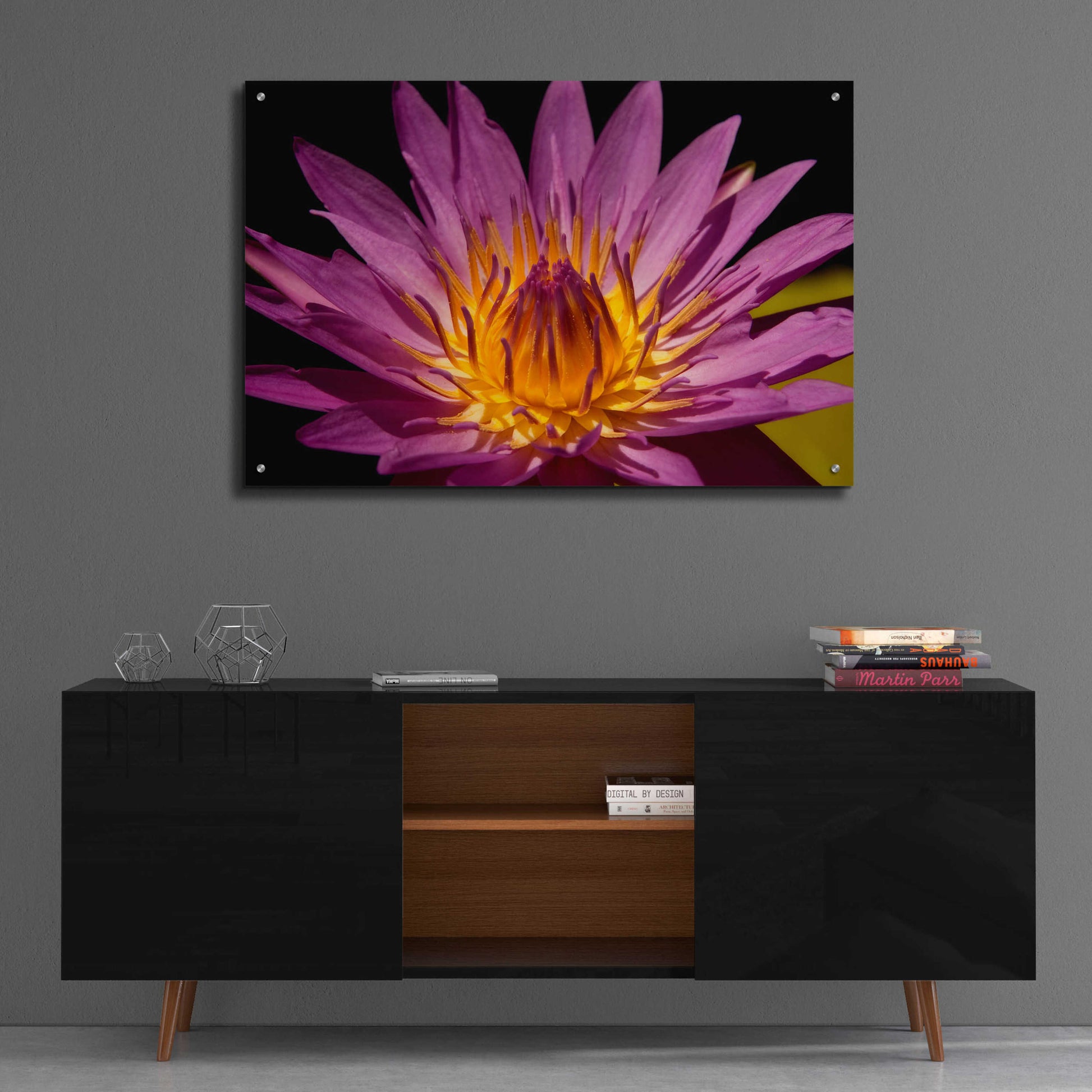 Epic Art 'Fairchild Gardens Lily' by Mike Jones, Acrylic Glass Wall Art,36x24