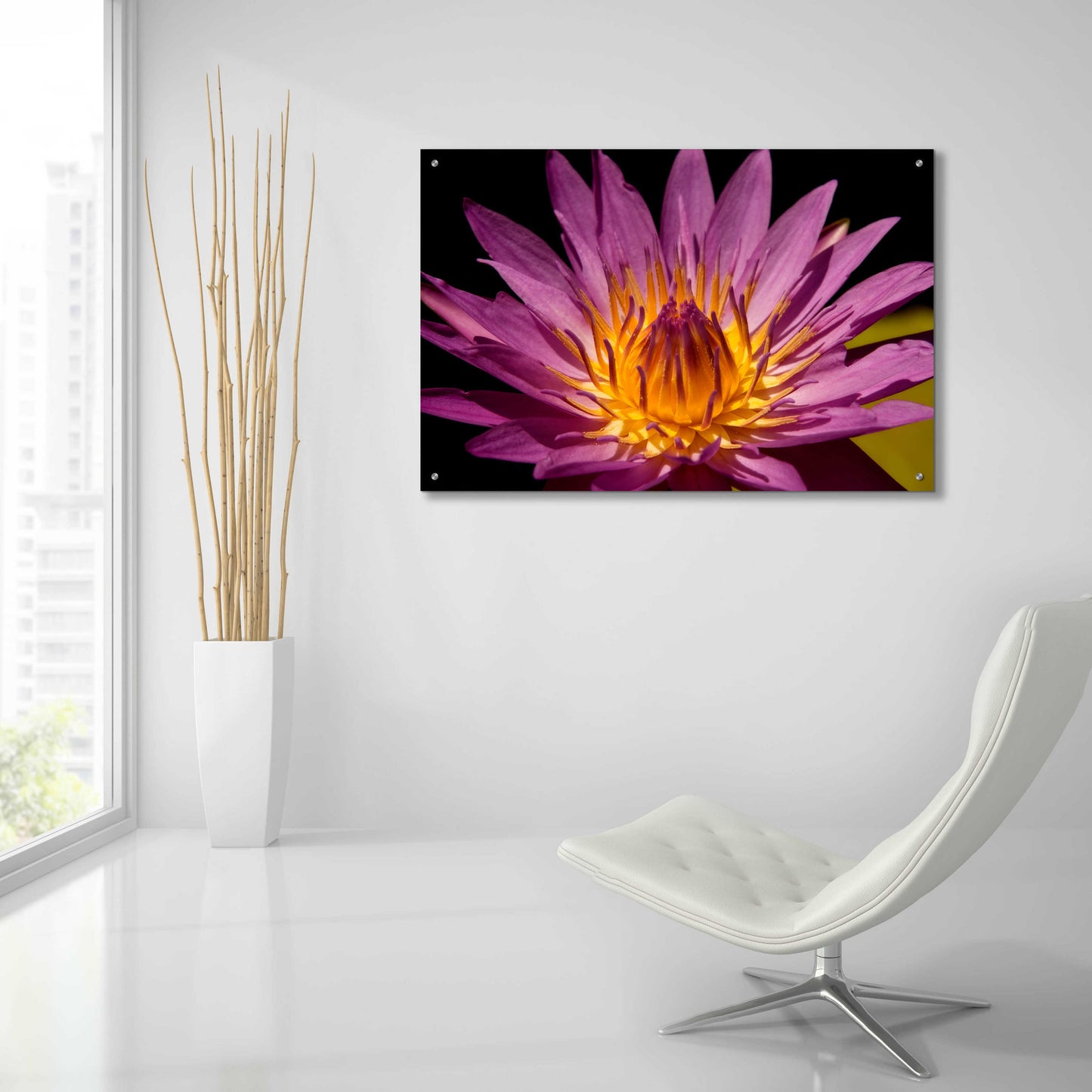 Epic Art 'Fairchild Gardens Lily' by Mike Jones, Acrylic Glass Wall Art,36x24