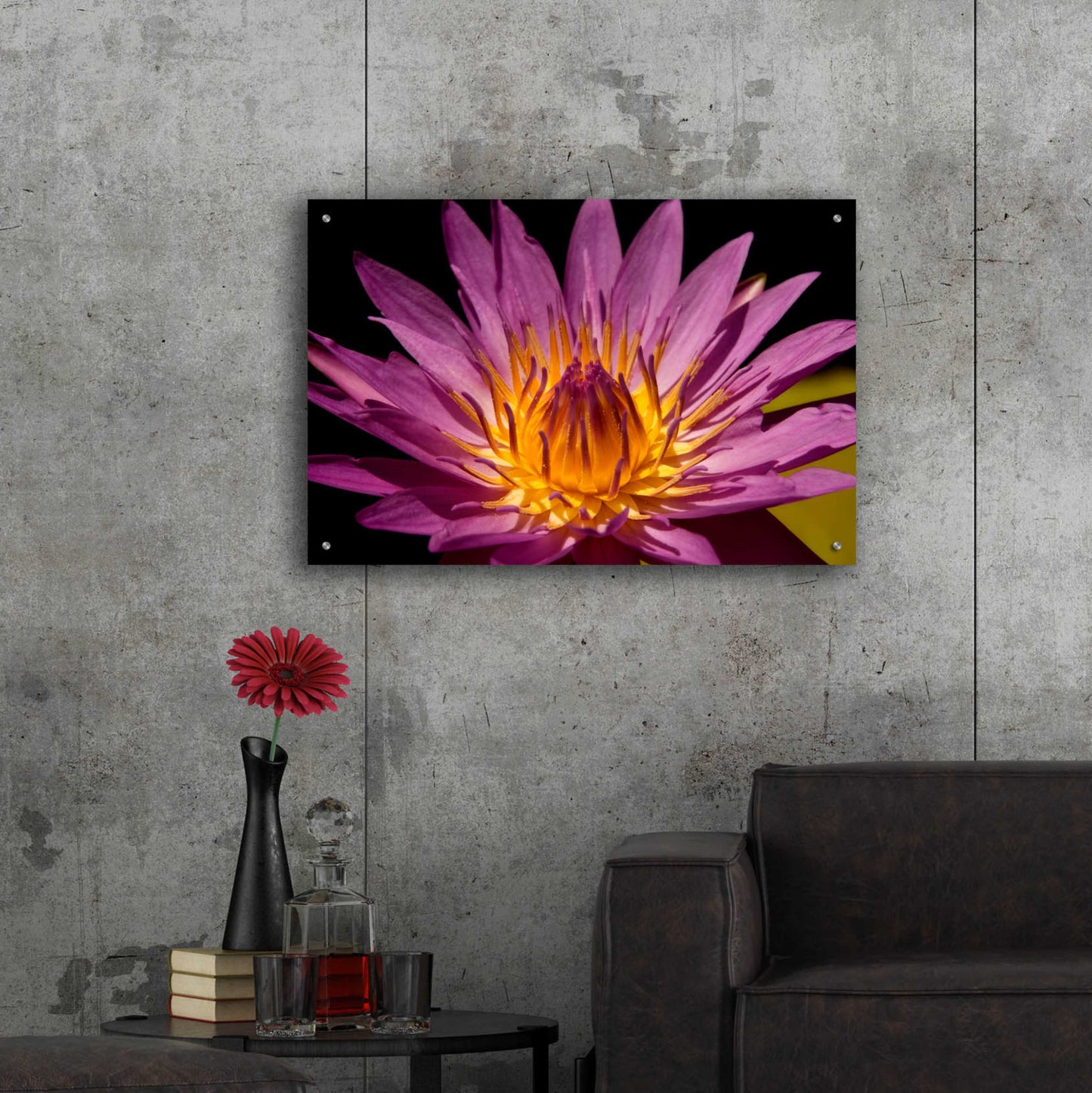 Epic Art 'Fairchild Gardens Lily' by Mike Jones, Acrylic Glass Wall Art,36x24