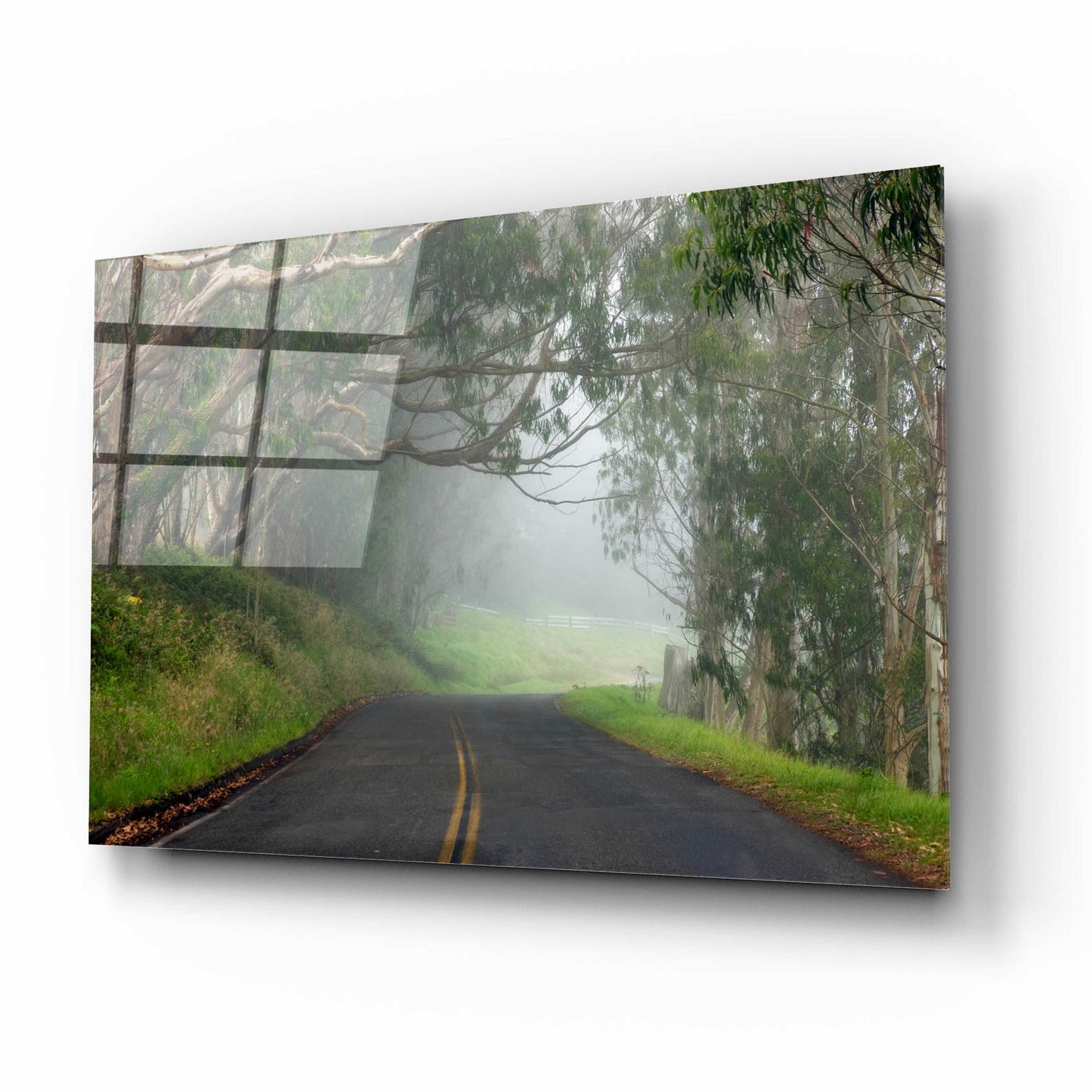 Epic Art 'Foggy Road near Dillon Beach' by Mike Jones, Acrylic Glass Wall Art,16x12