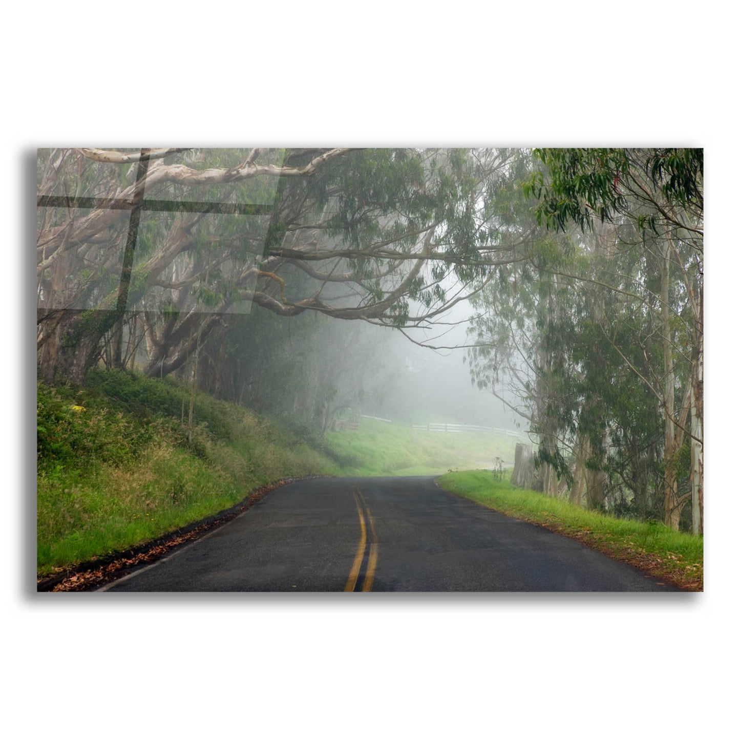 Epic Art 'Foggy Road near Dillon Beach' by Mike Jones, Acrylic Glass Wall Art,16x12