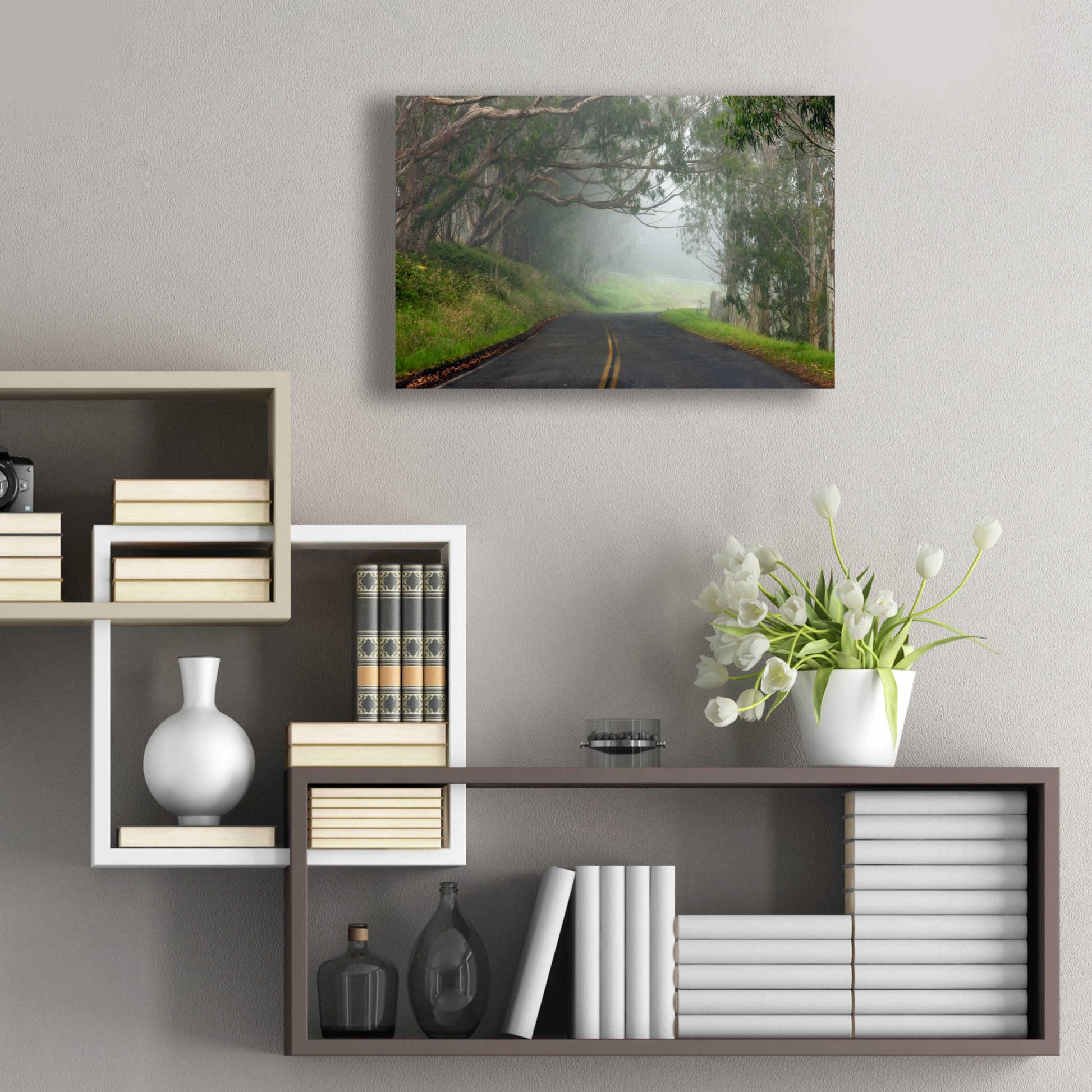 Epic Art 'Foggy Road near Dillon Beach' by Mike Jones, Acrylic Glass Wall Art,24x16