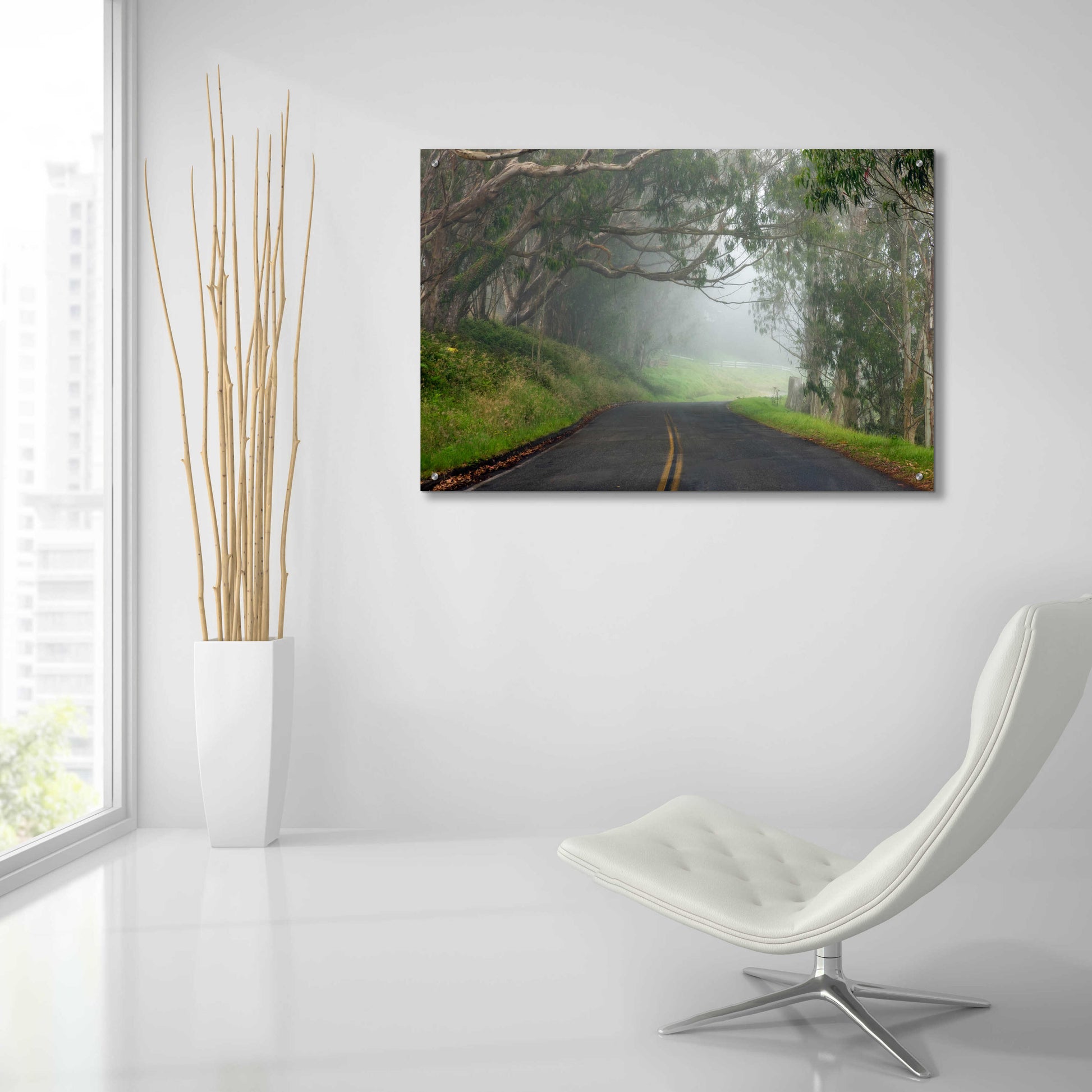 Epic Art 'Foggy Road near Dillon Beach' by Mike Jones, Acrylic Glass Wall Art,36x24