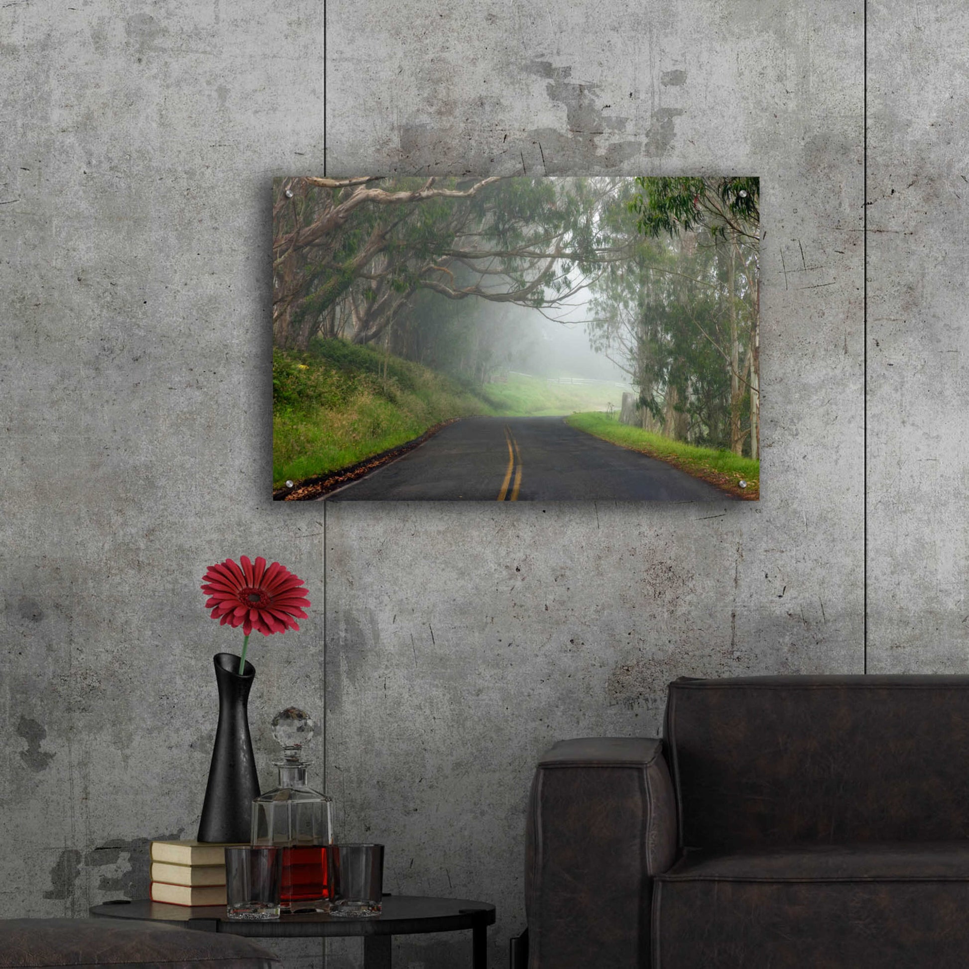 Epic Art 'Foggy Road near Dillon Beach' by Mike Jones, Acrylic Glass Wall Art,36x24