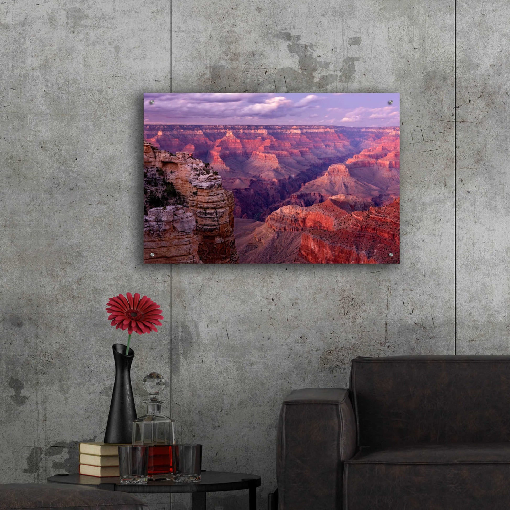 Epic Art 'Grand Canyon near Mather Point' by Mike Jones, Acrylic Glass Wall Art,36x24