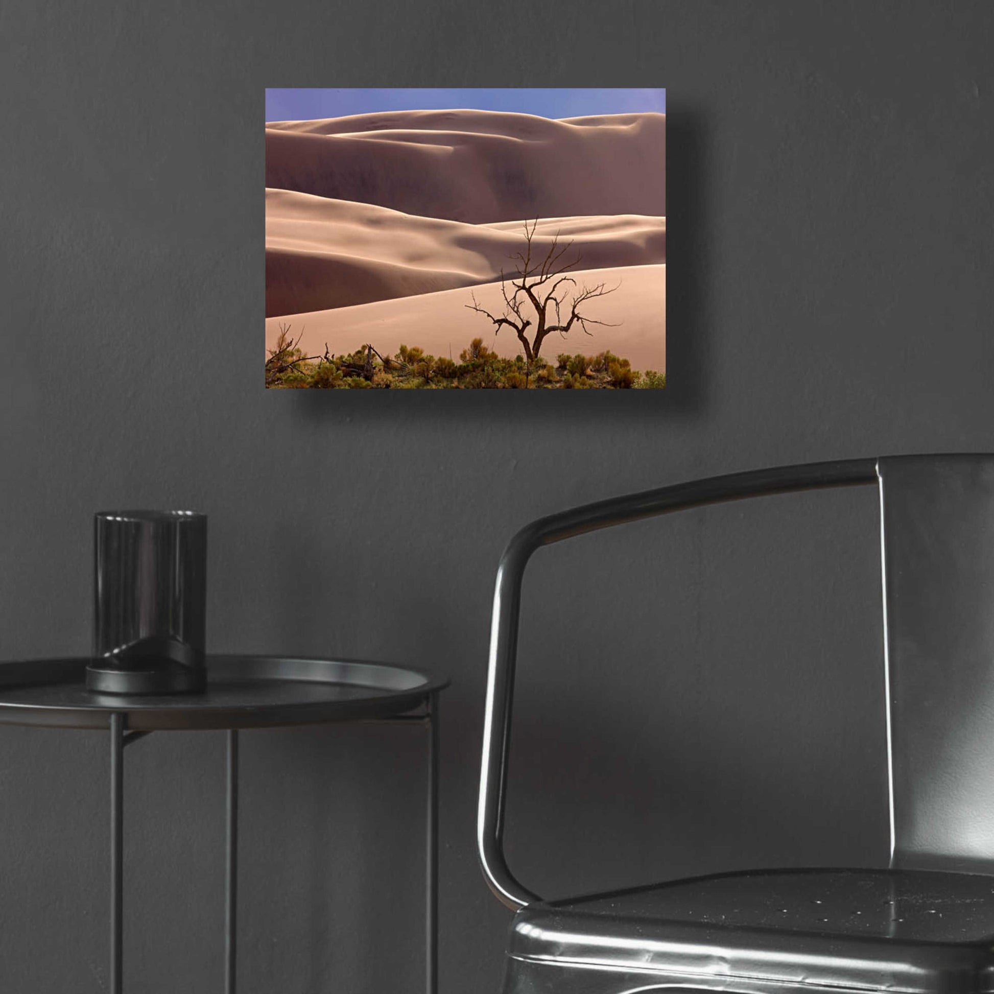 Epic Art 'Great Sand Dunes NP Tree' by Mike Jones, Acrylic Glass Wall Art,16x12