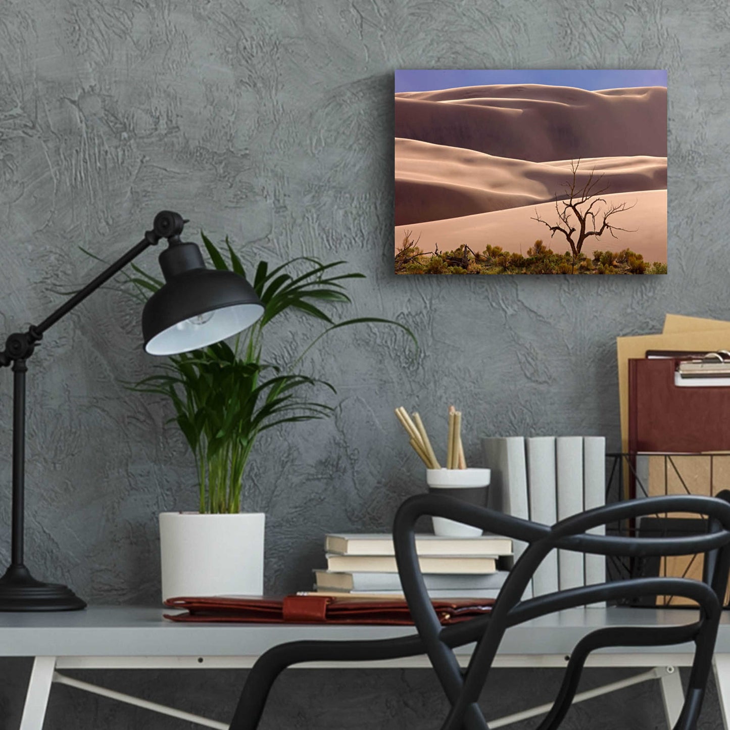 Epic Art 'Great Sand Dunes NP Tree' by Mike Jones, Acrylic Glass Wall Art,16x12